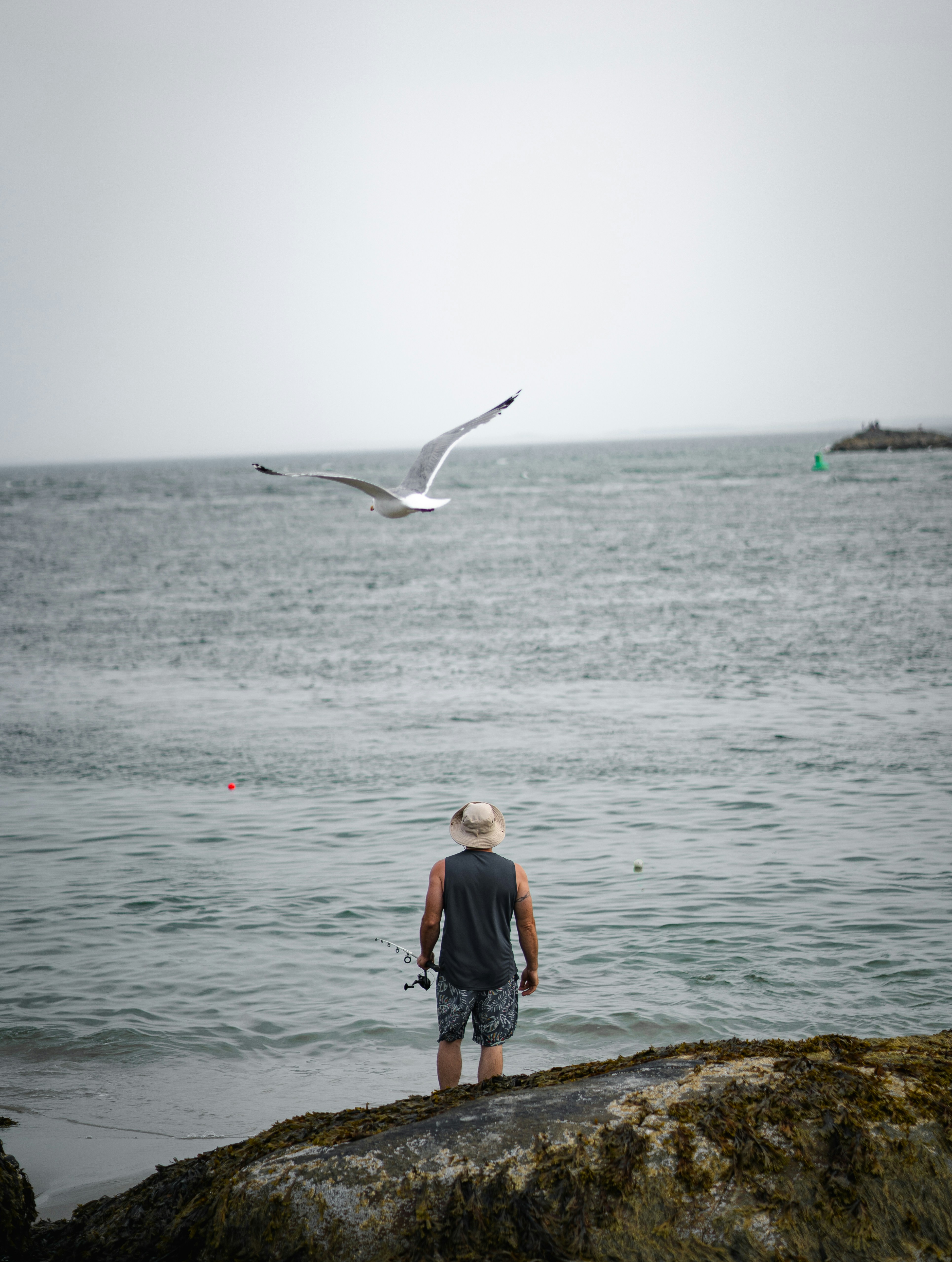 A man standing on top of a rock near the ocean