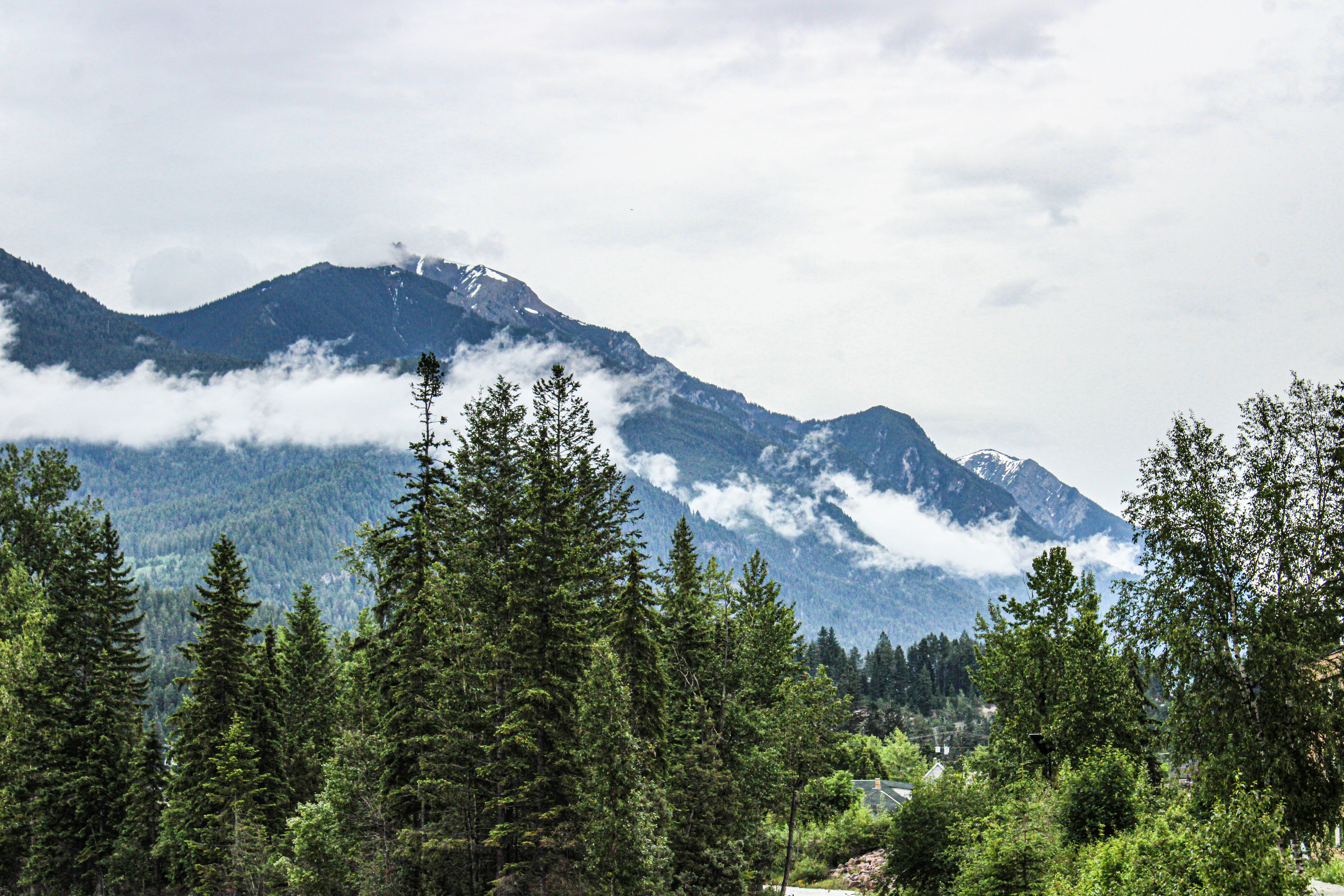 Photo by prphotography262