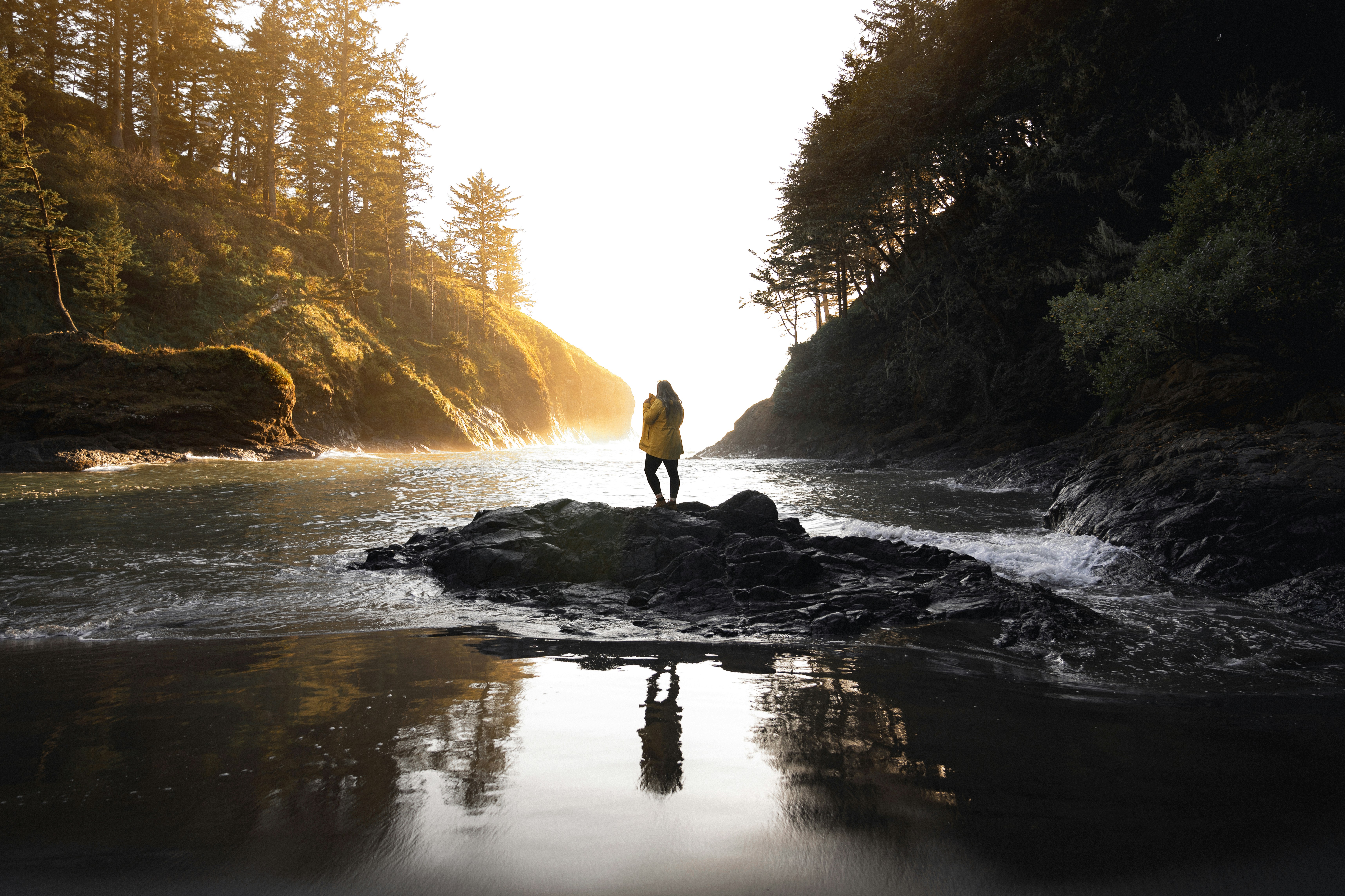 건축기사 필기 실기 시험일정 합격률 (2024)