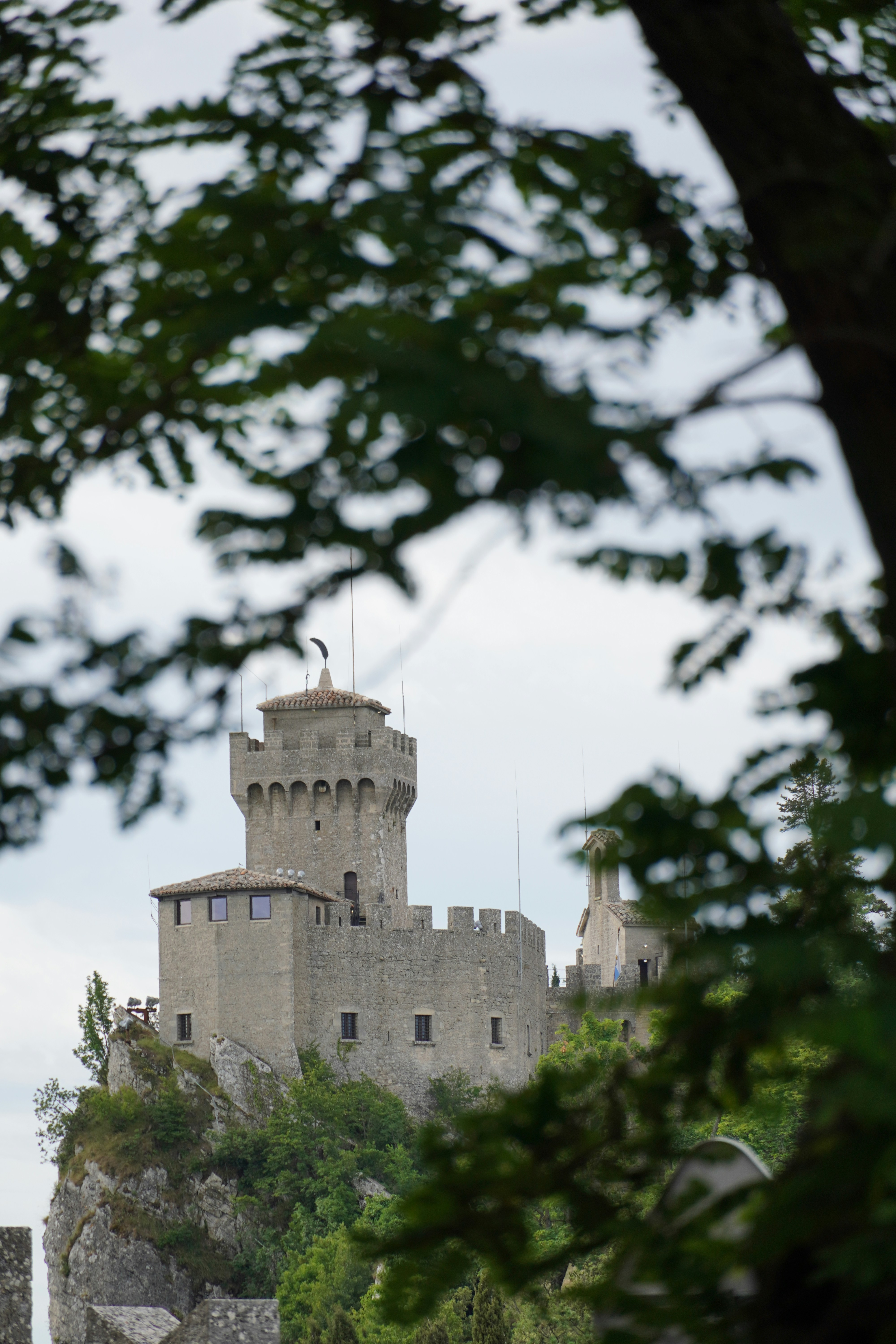 Photo by greenliustudio