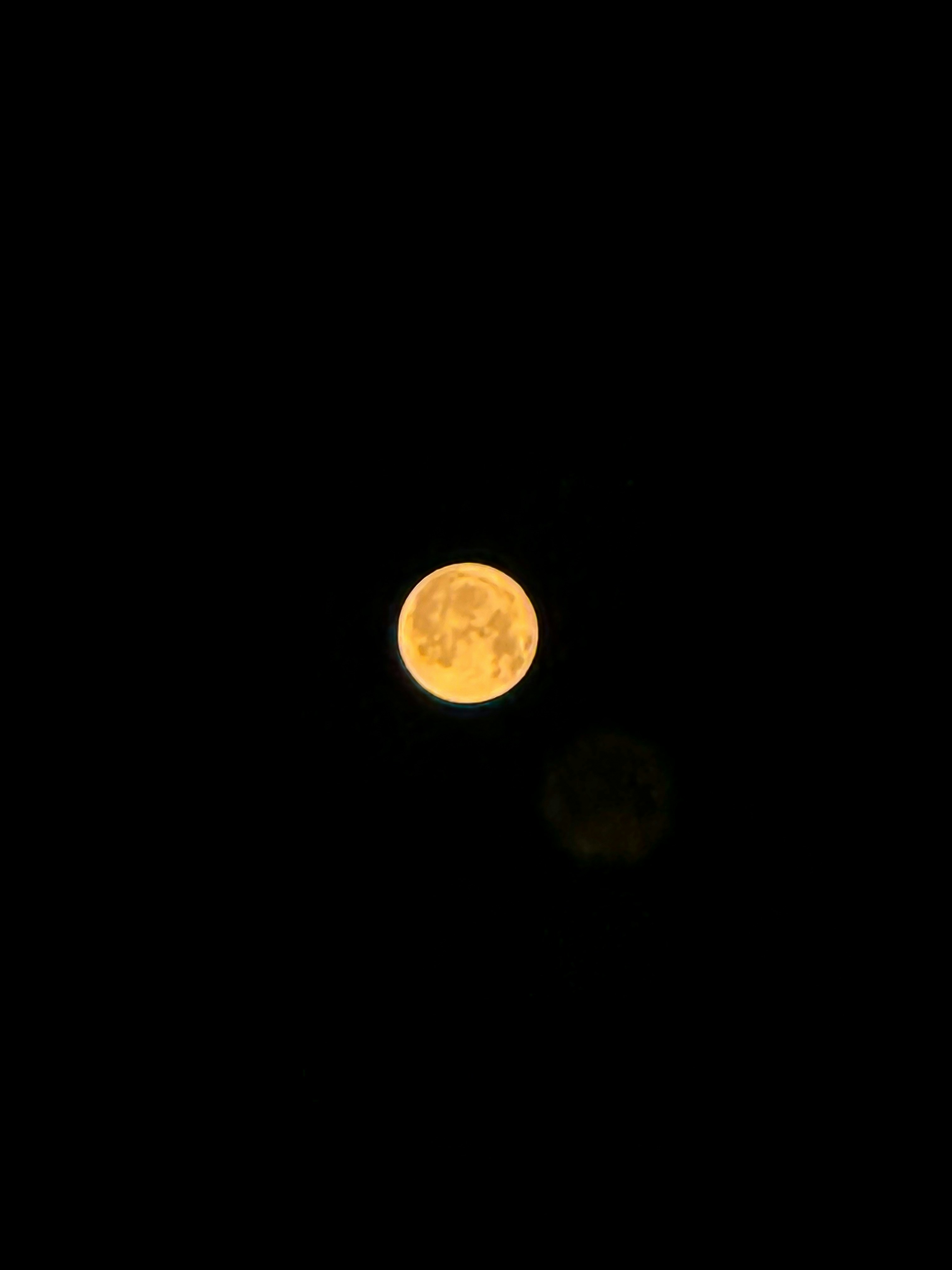 Una luna piena è visibile nel cielo scuro