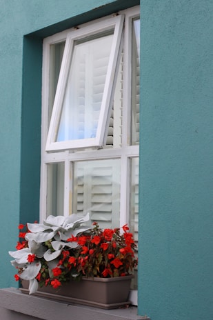 A window with a potted plant on the ledge