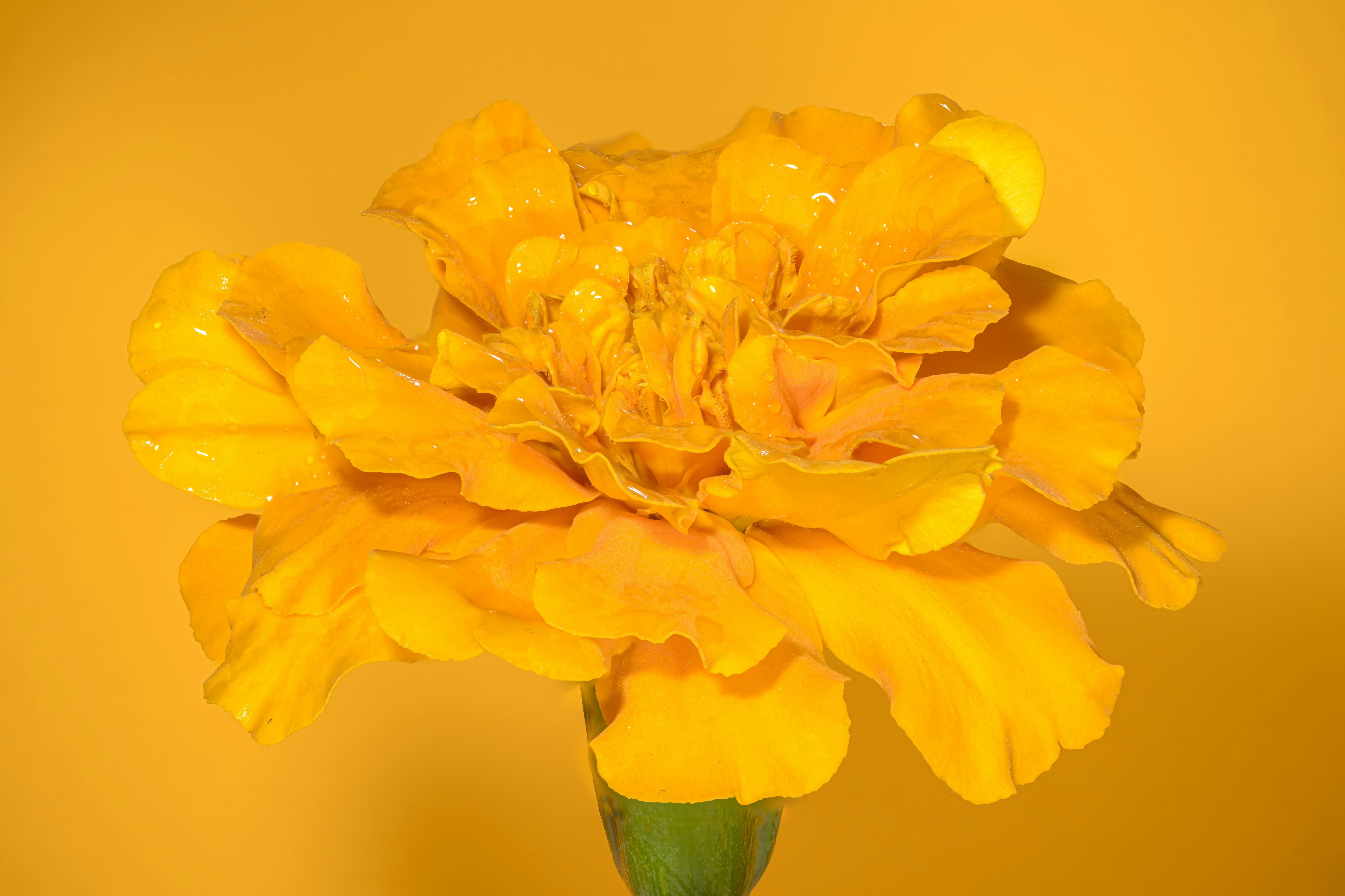 Photo by alexandredaoust