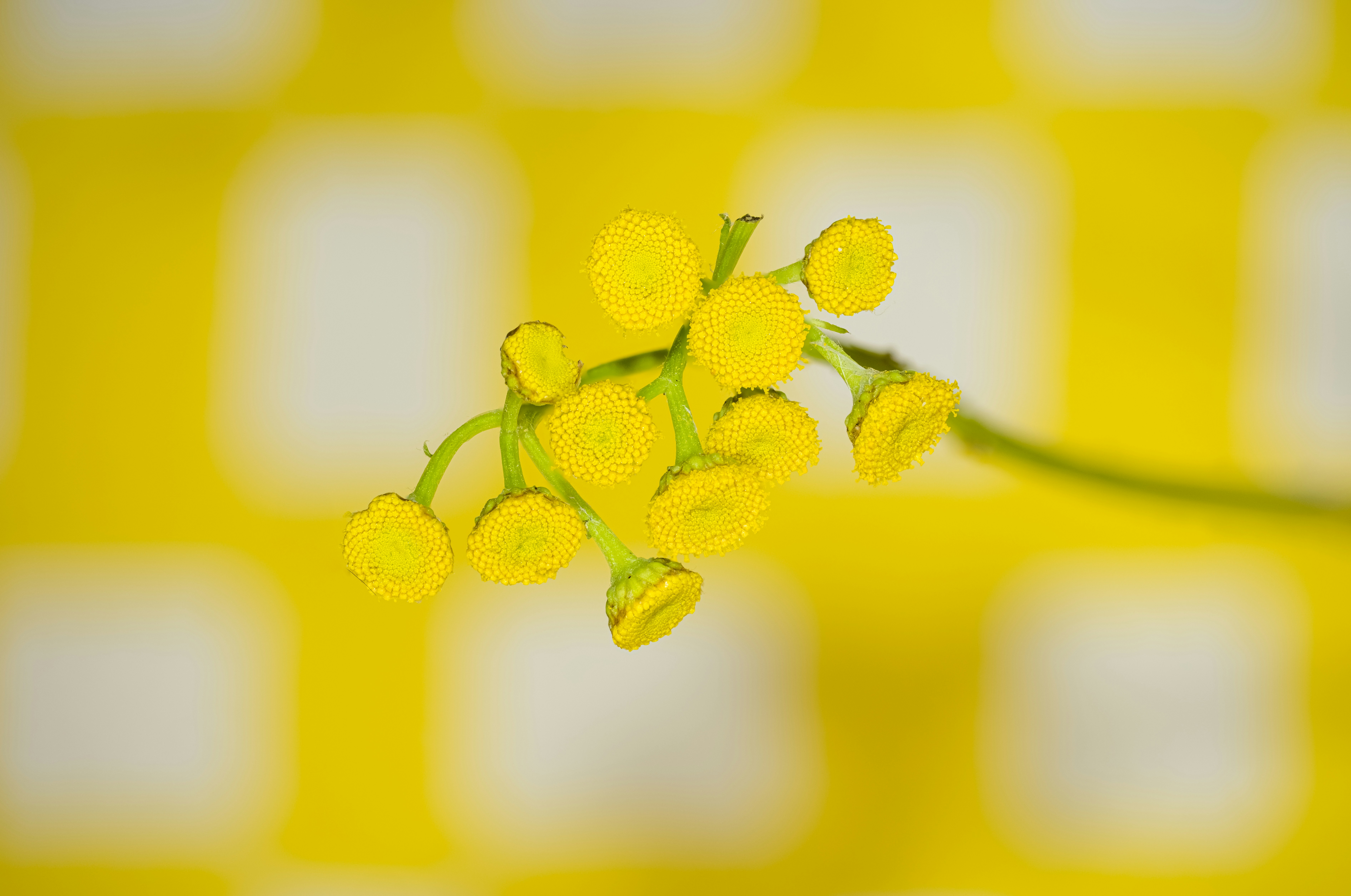 Photo by alexandredaoust