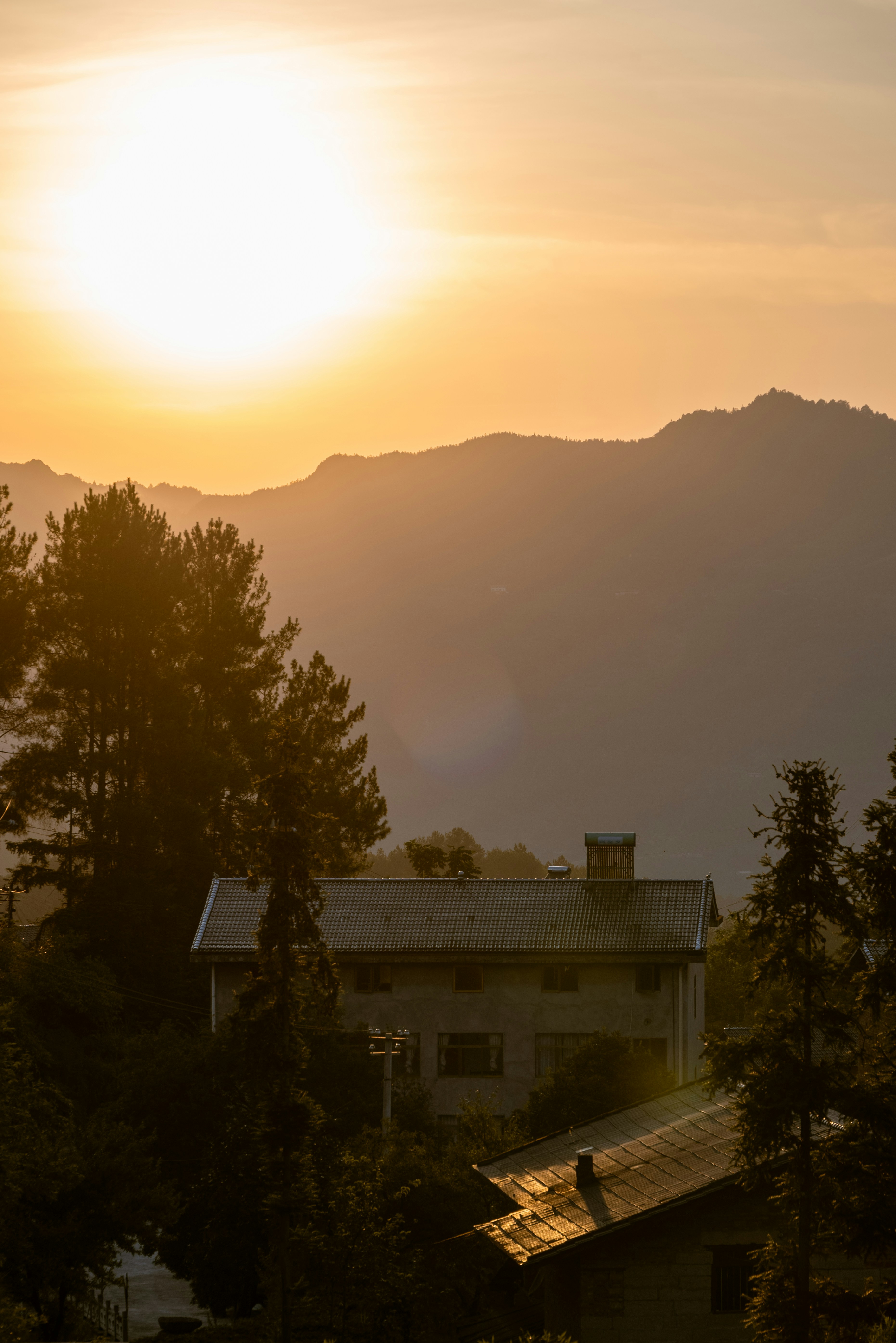 Photo by nikol_royce