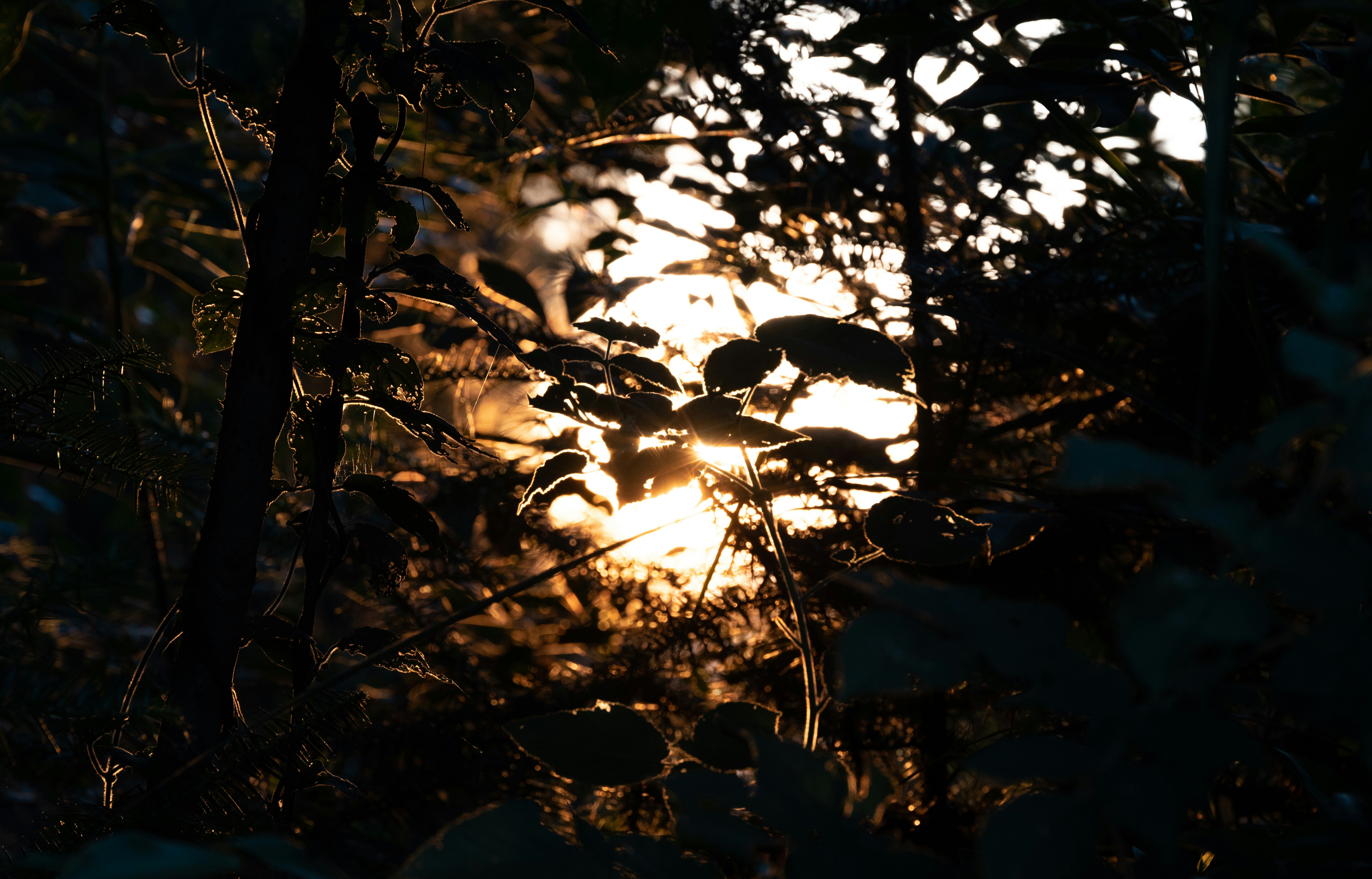 Photo by nikol_royce