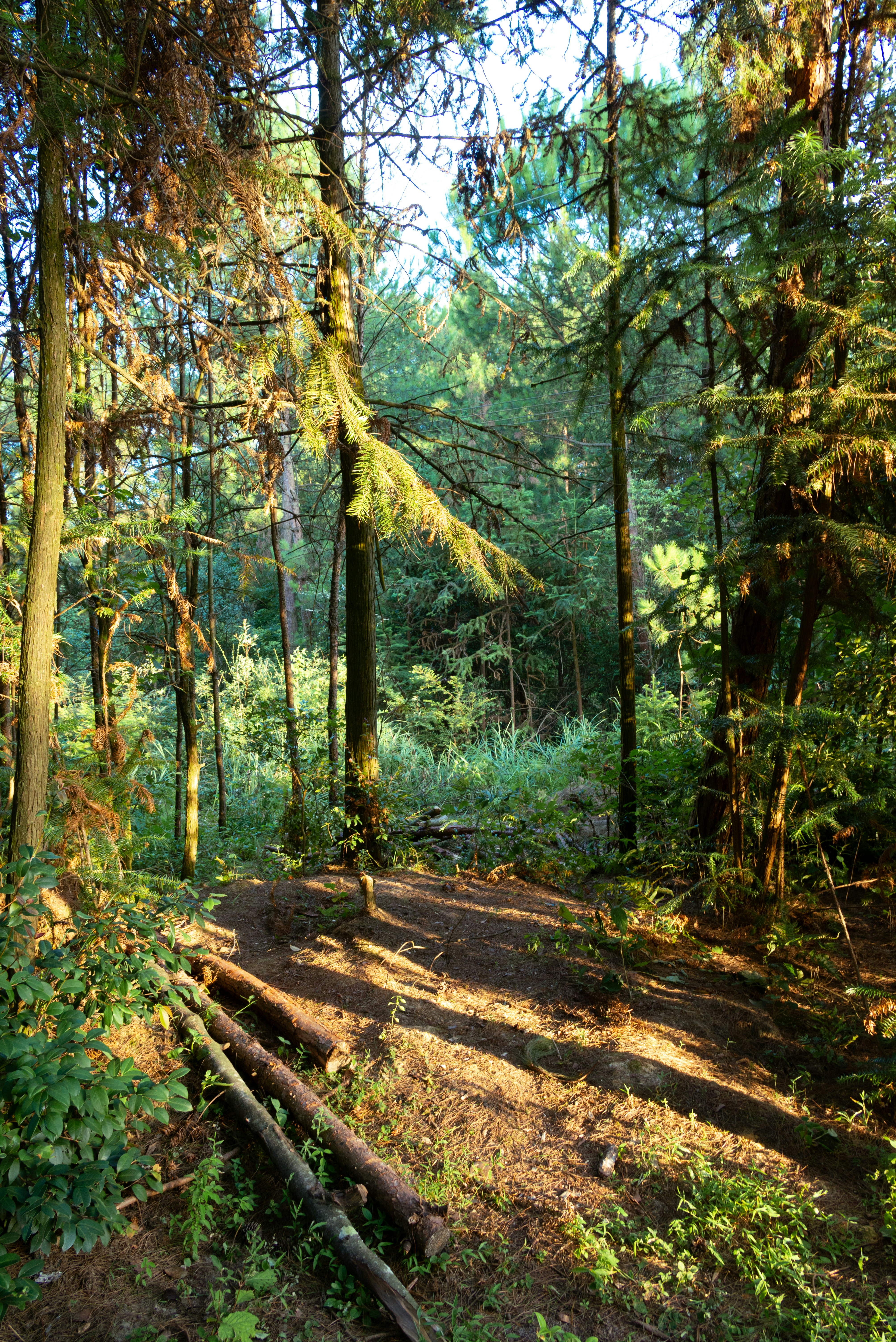 Photo by nikol_royce