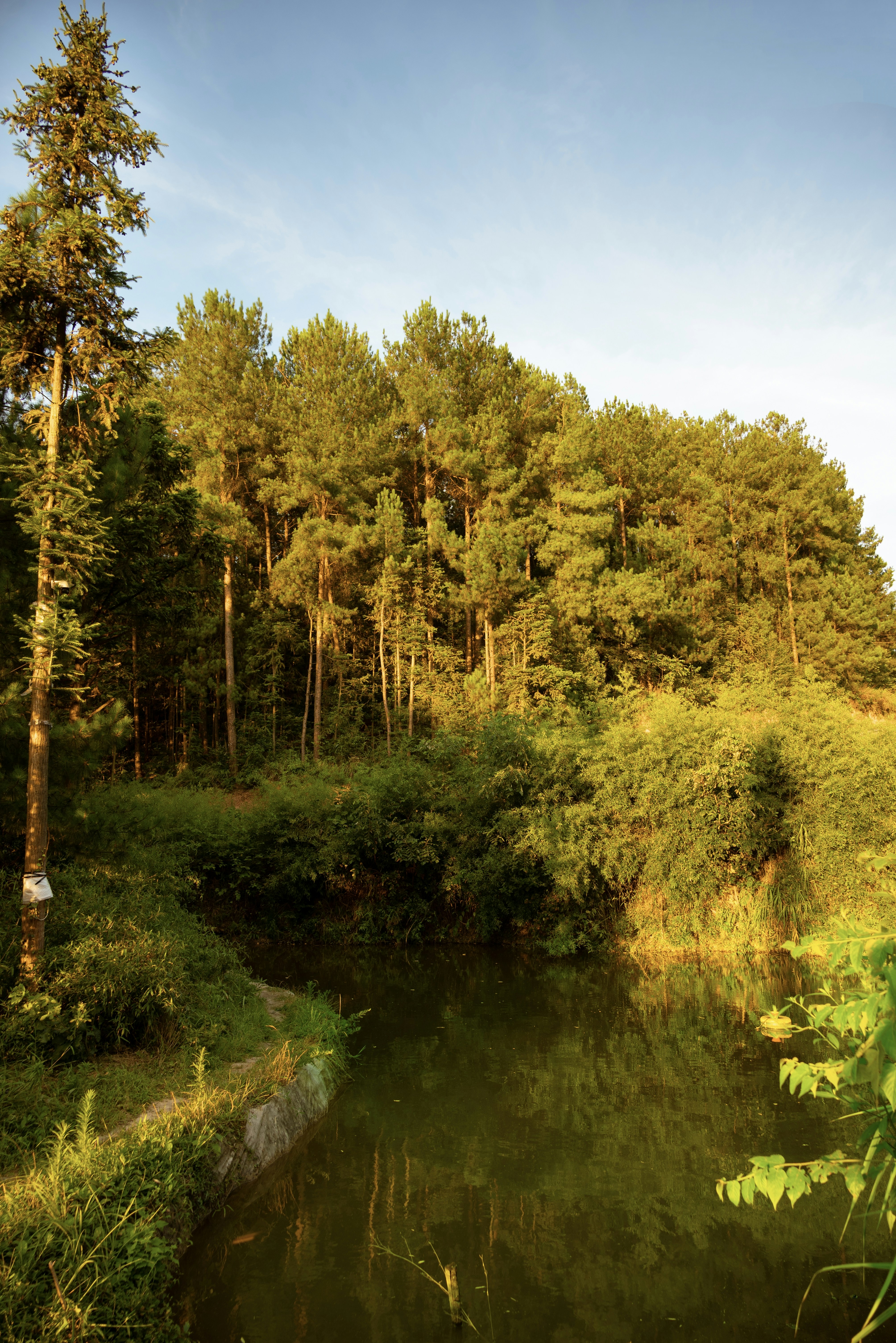 Photo by nikol_royce