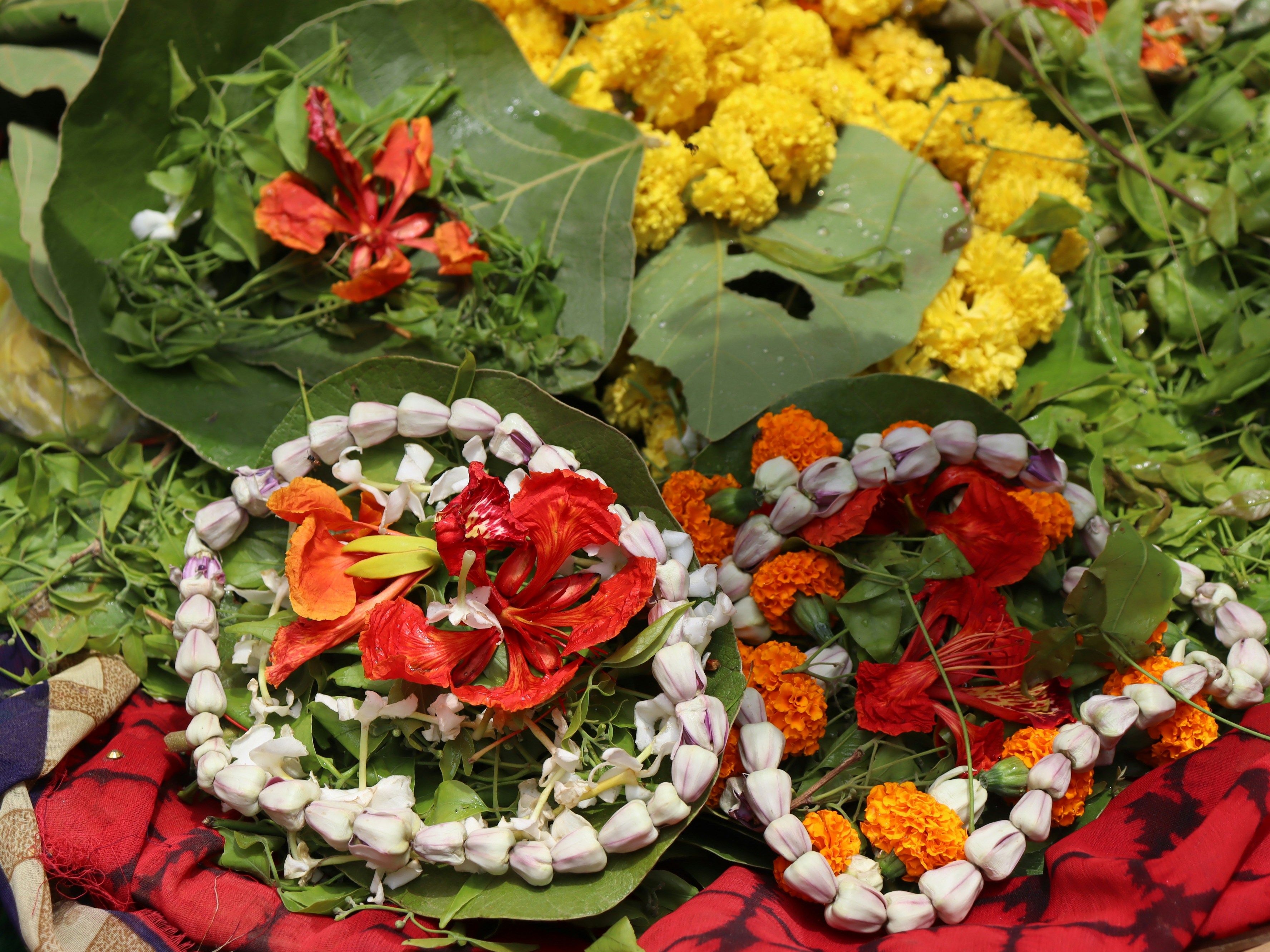 Variety of biryanis with vibrant presentation at Paradise Biryani Pointe