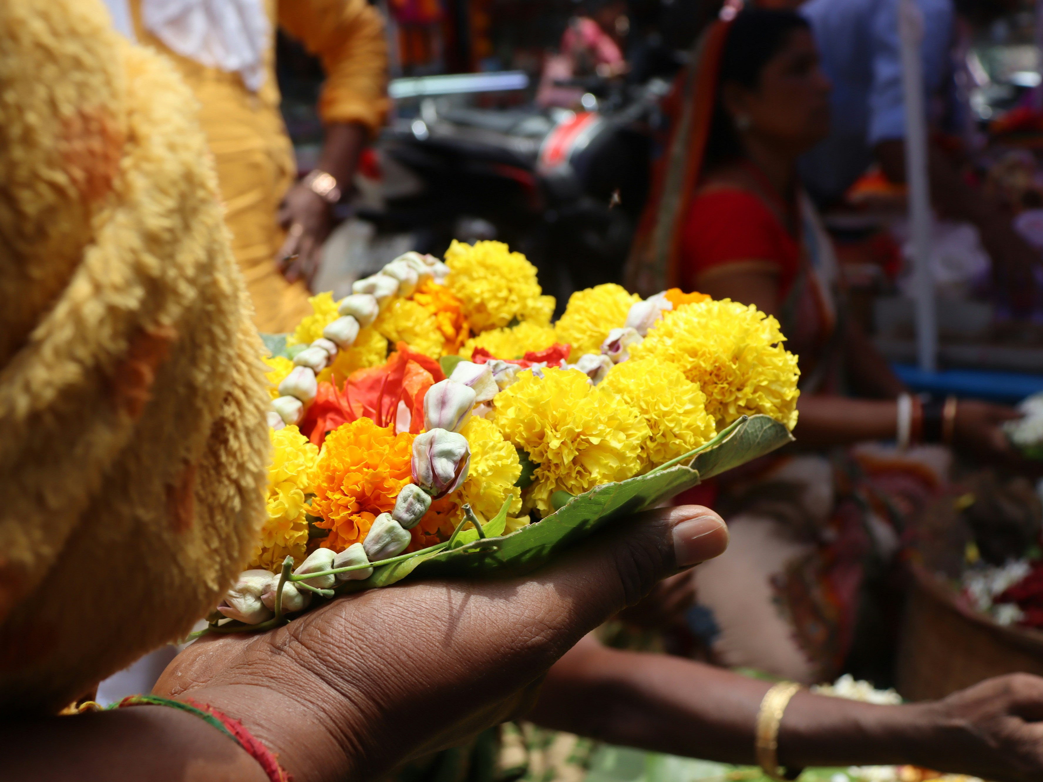 Photo by aankit_kumaar