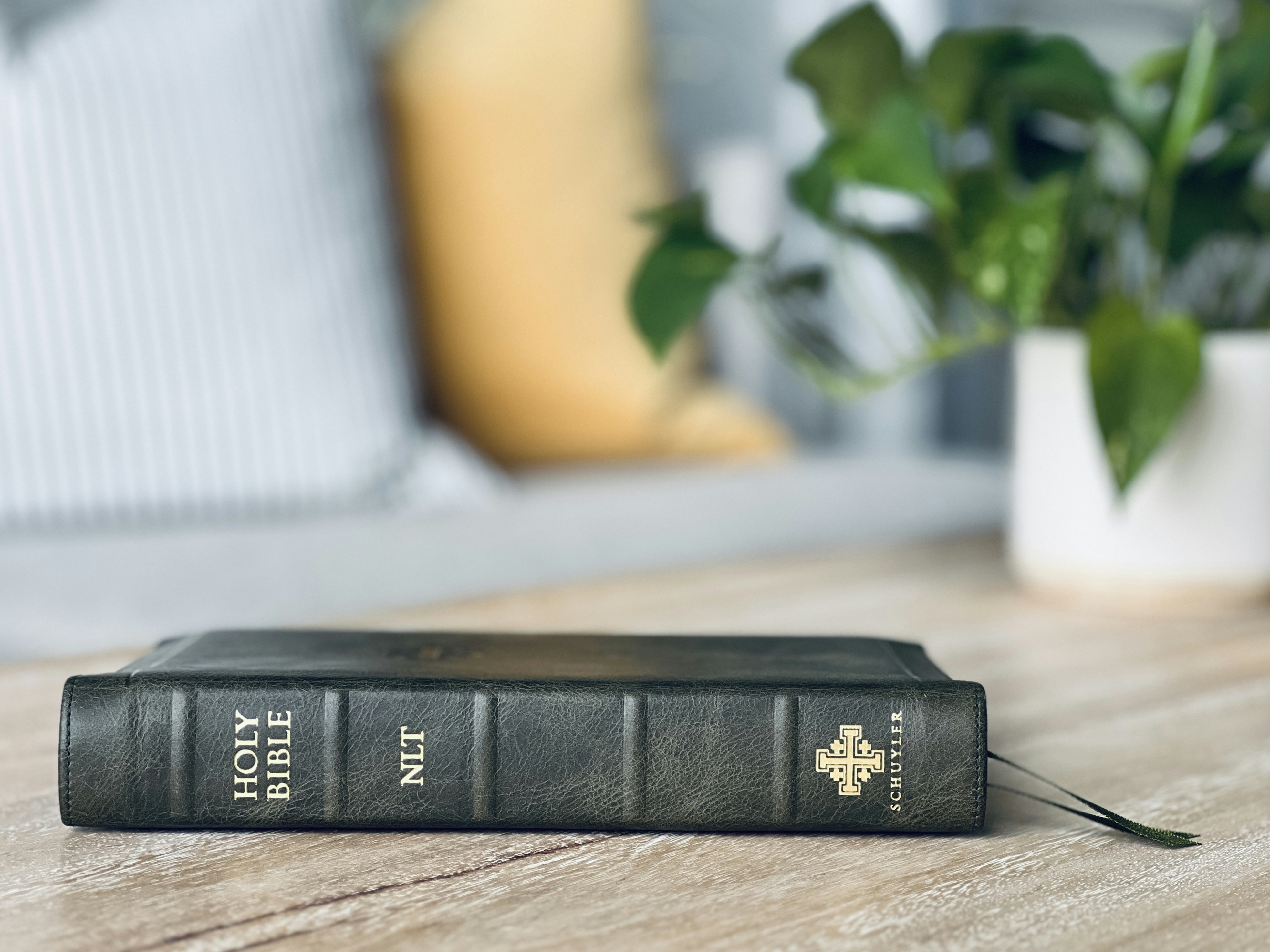 Photo by timwildsmith