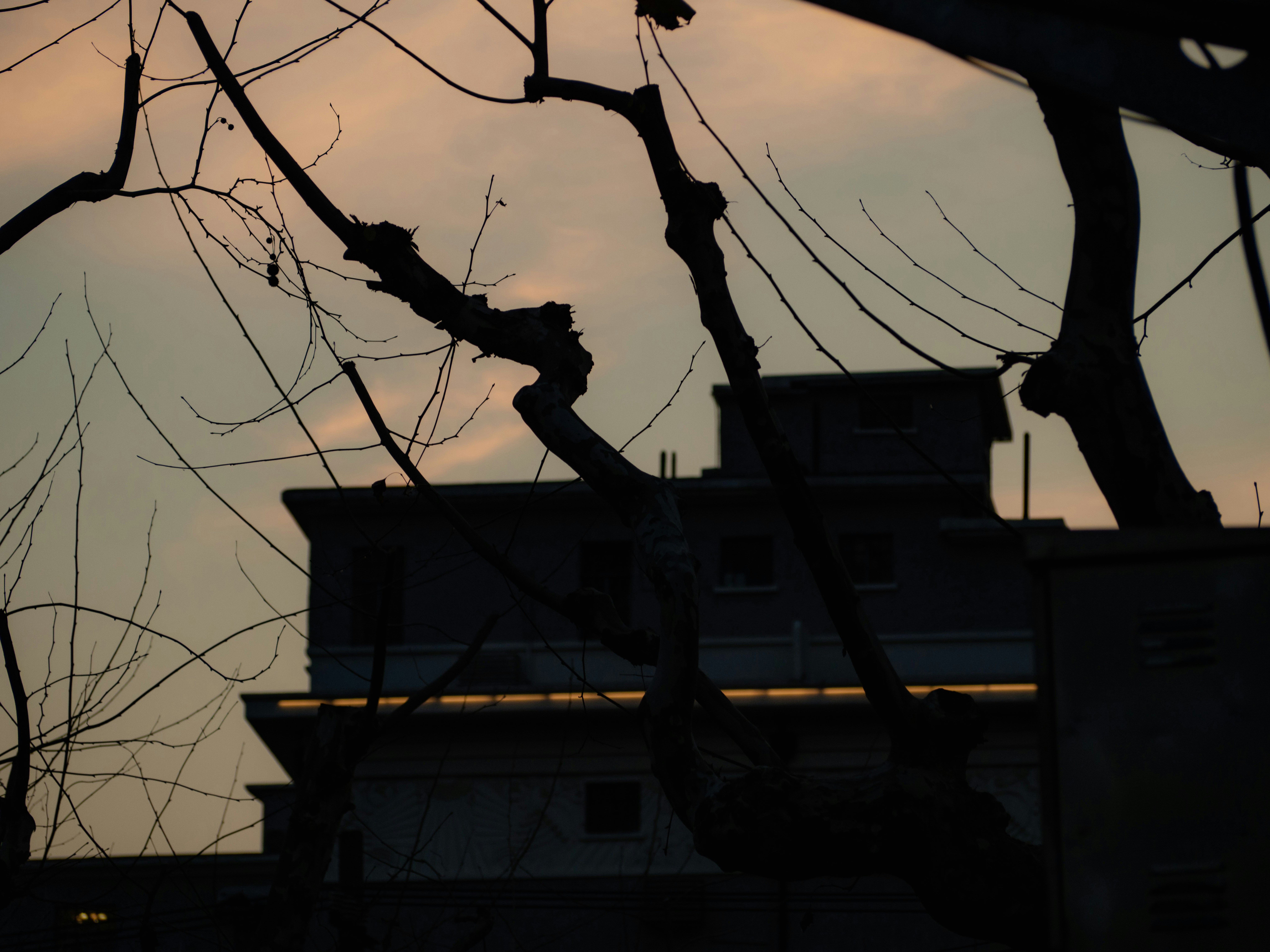 Photo by siriusharrison