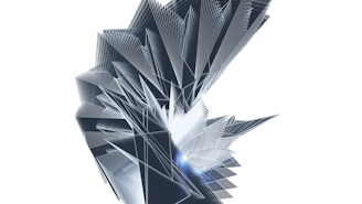 A bird flying through the air with its wings spread