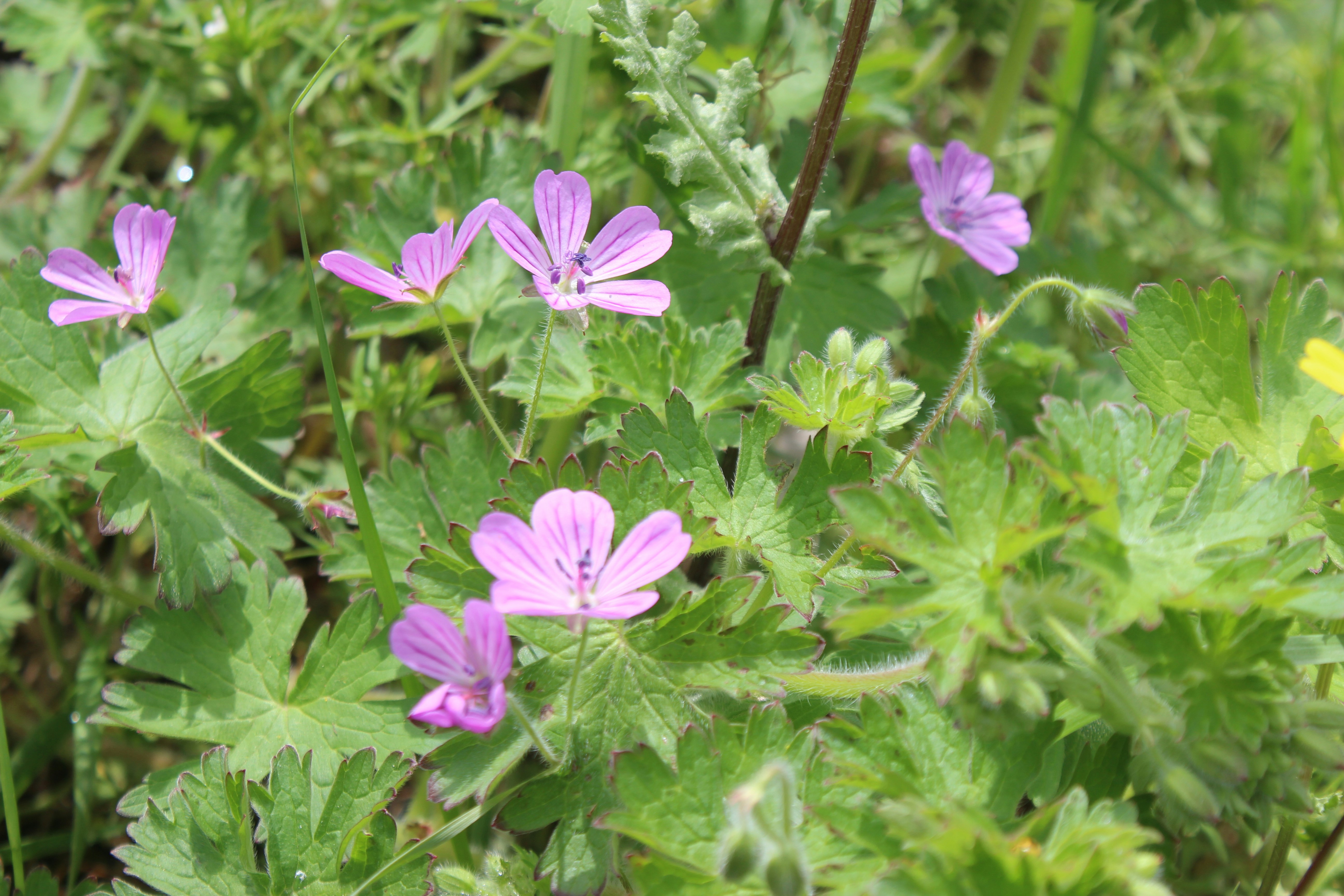 Photo by leylagulami