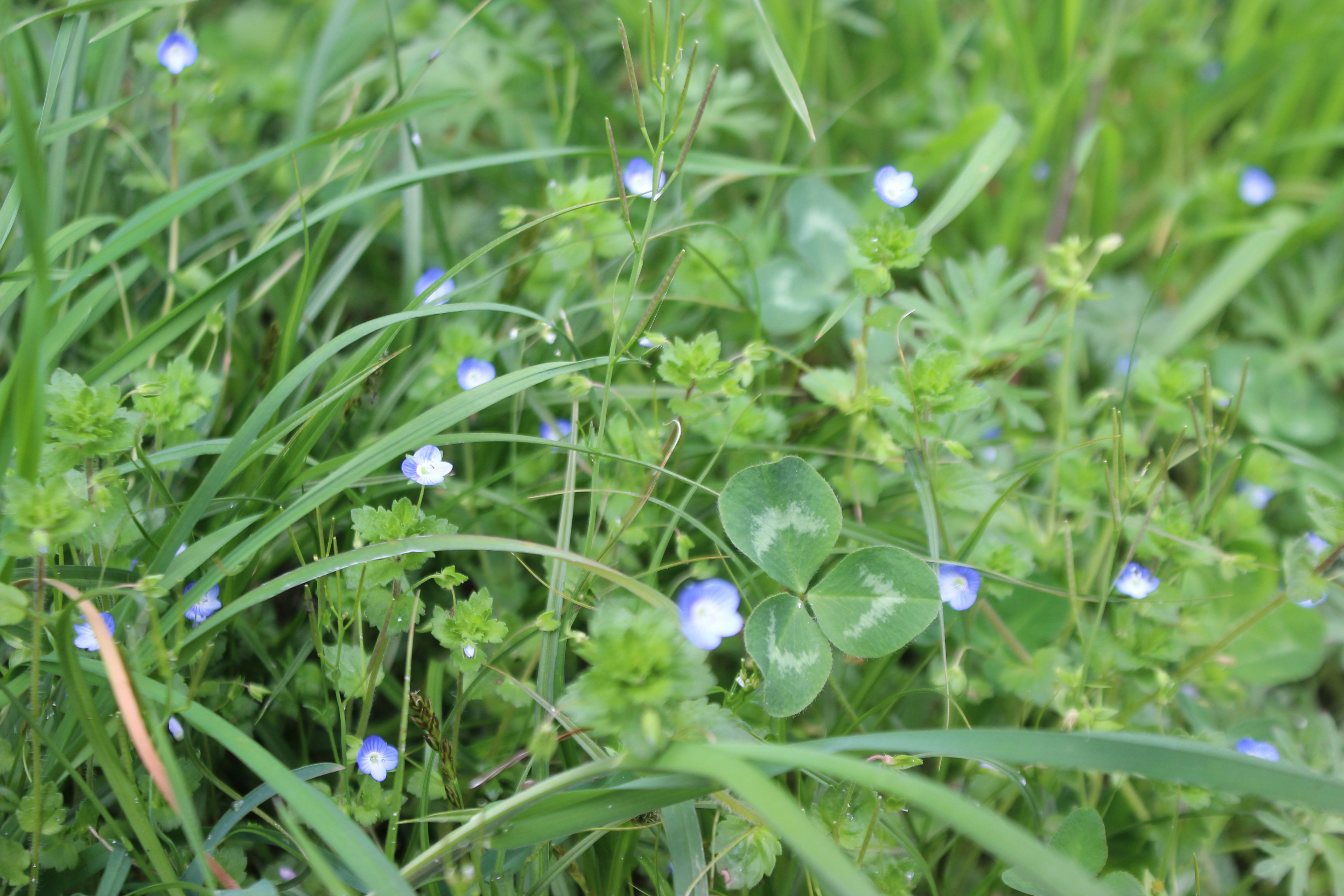 Photo by leylagulami