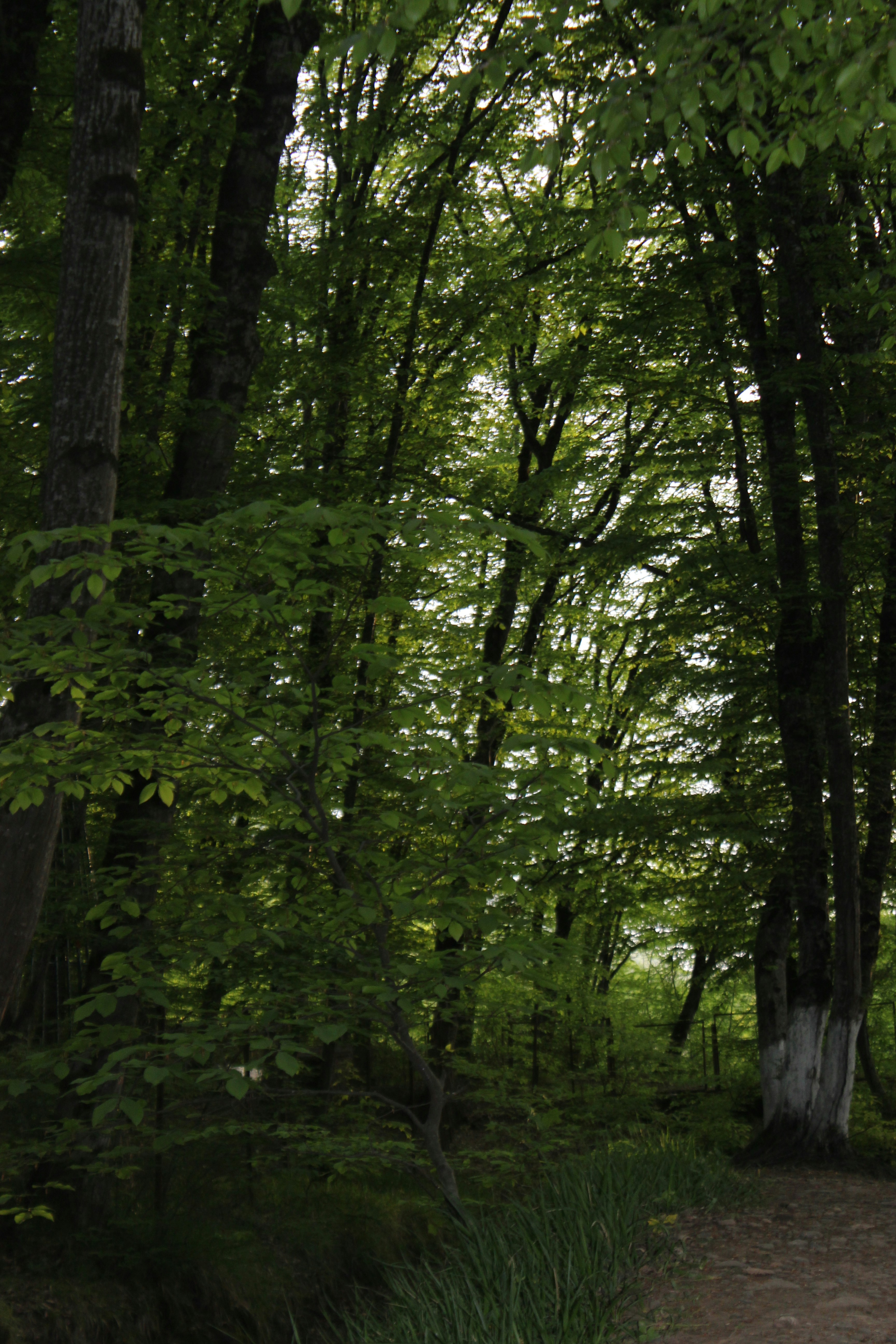 Photo by leylagulami