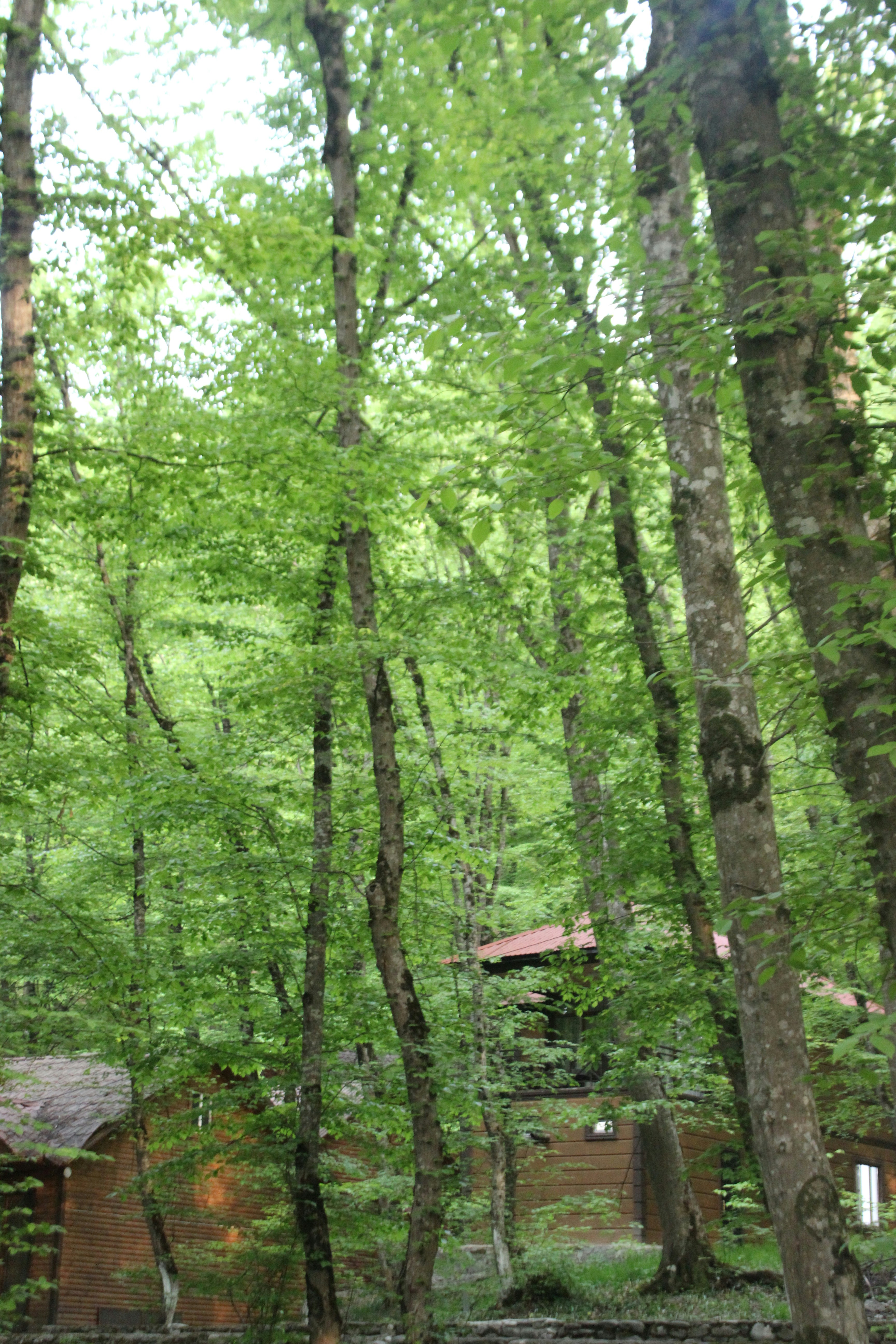 Photo by leylagulami