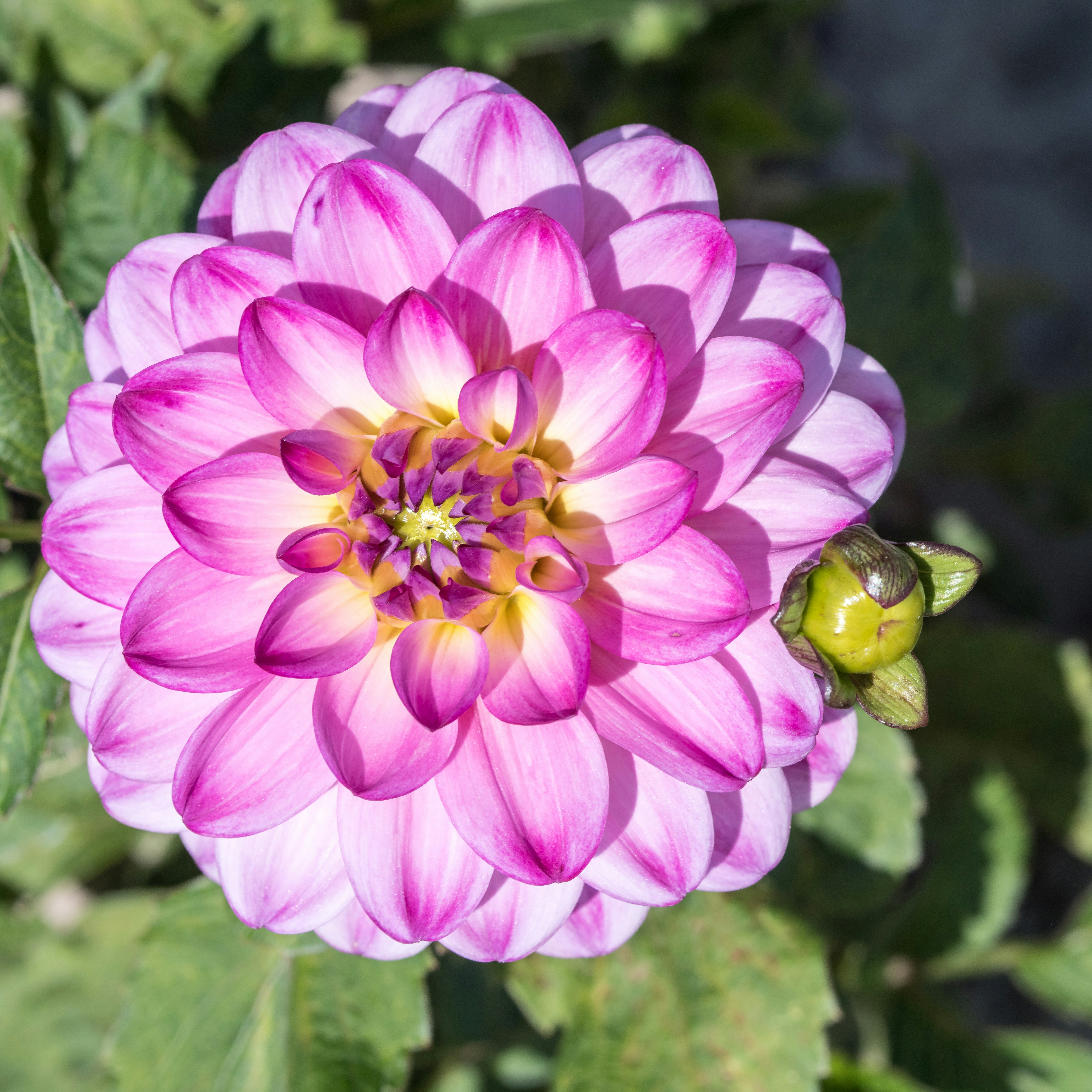 Photo by hamburgmeinefreundin