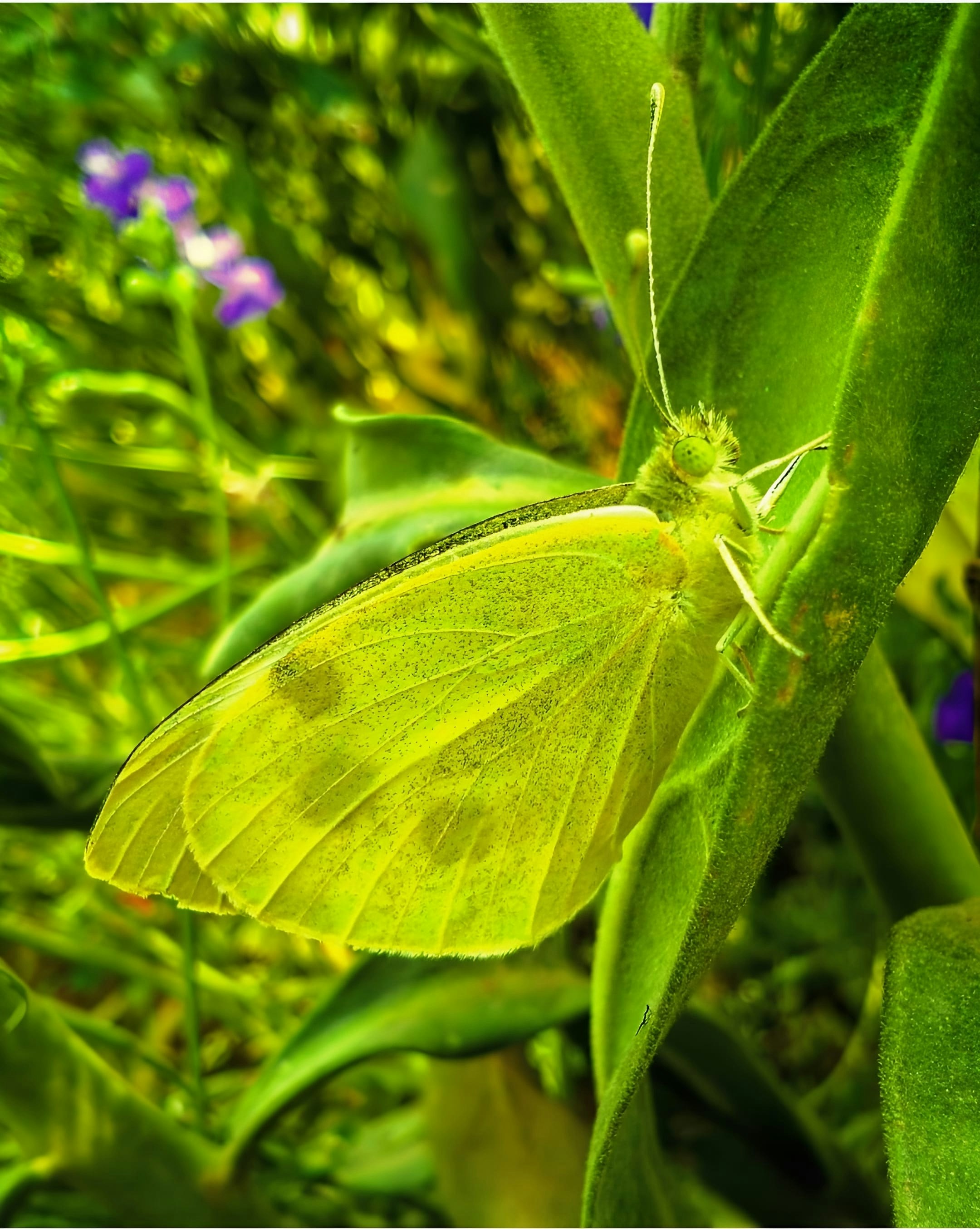 Photo by shubham156