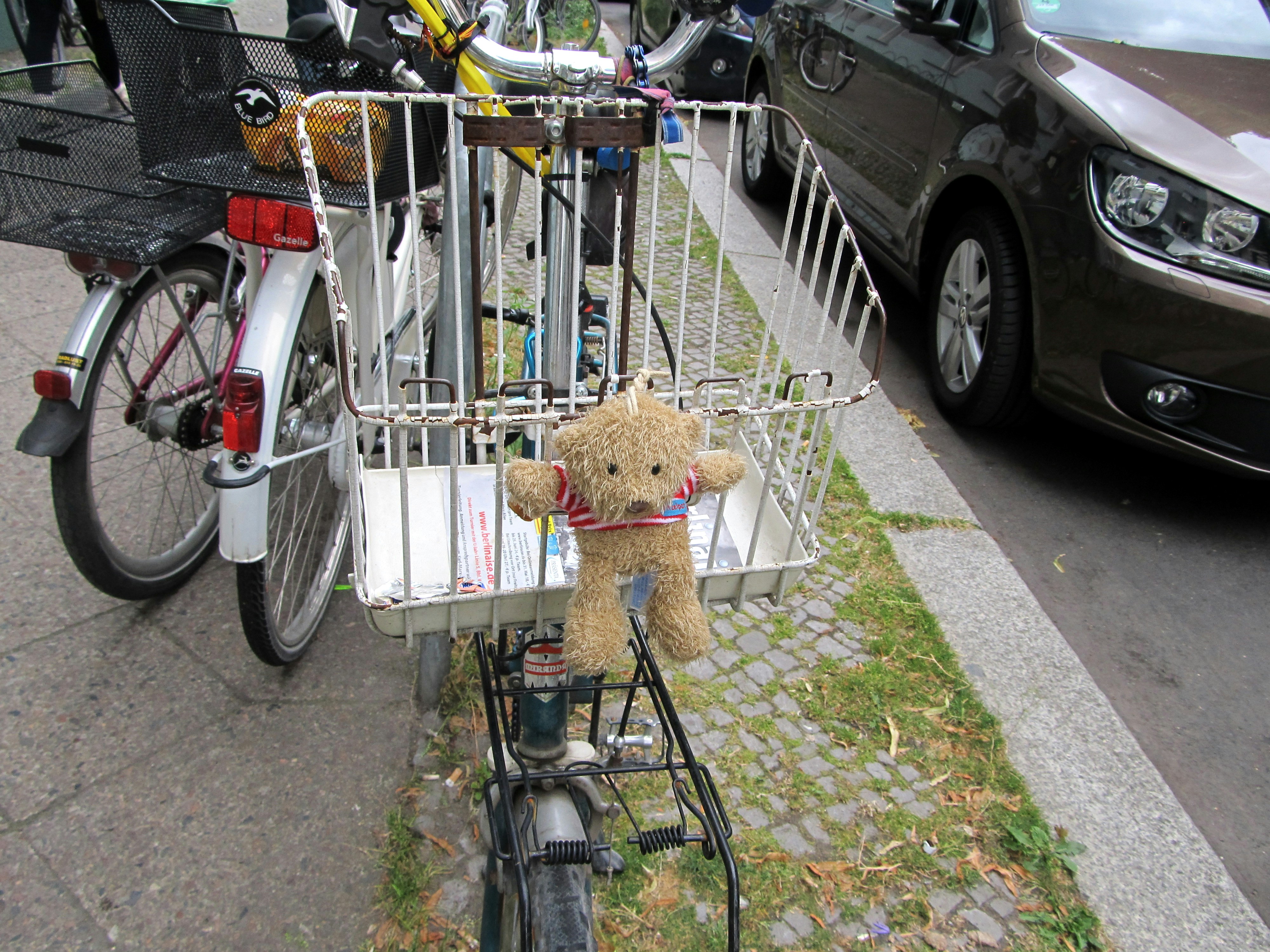 A teddy bear sitting on the back of a bike