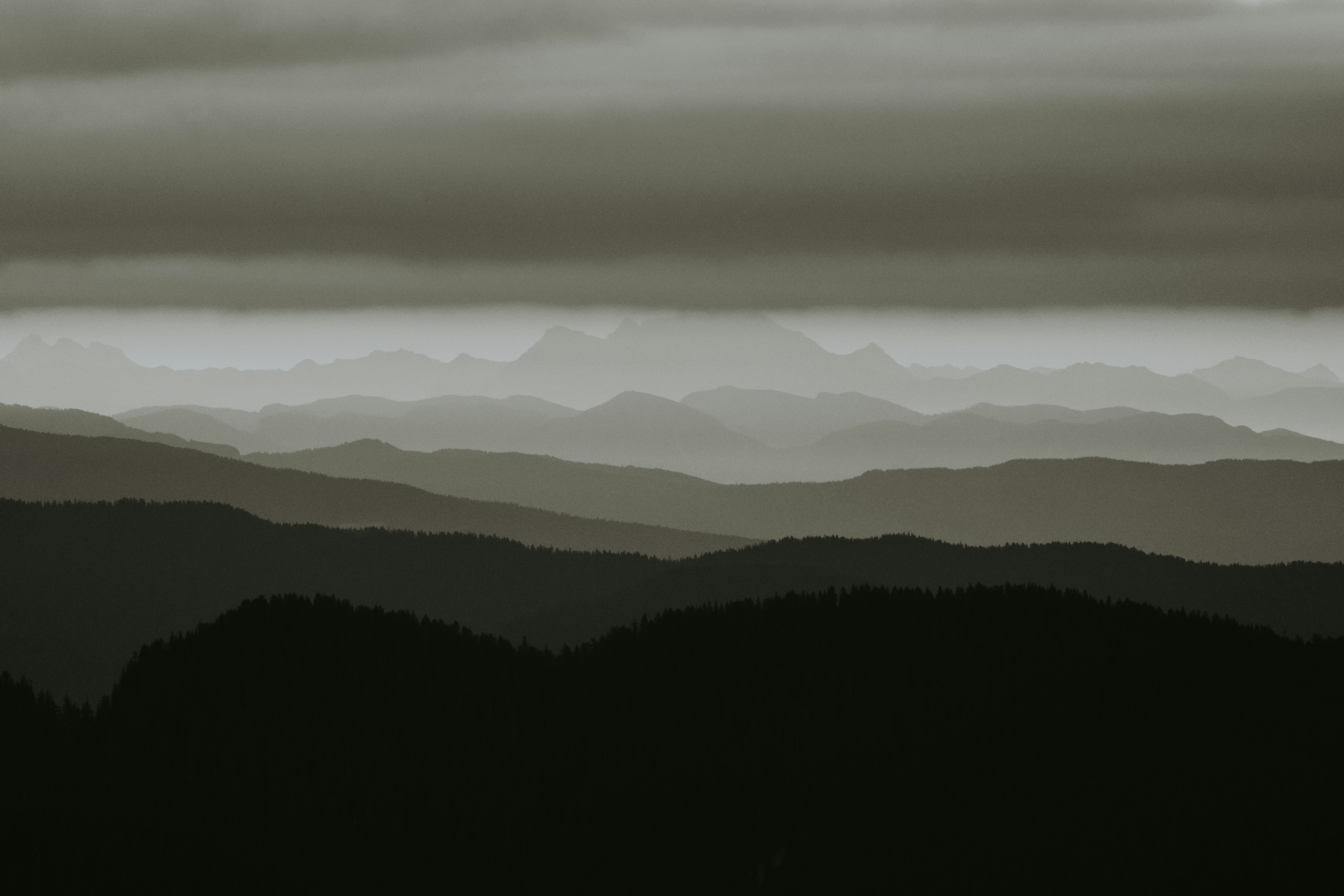 Photo by bylukemiller