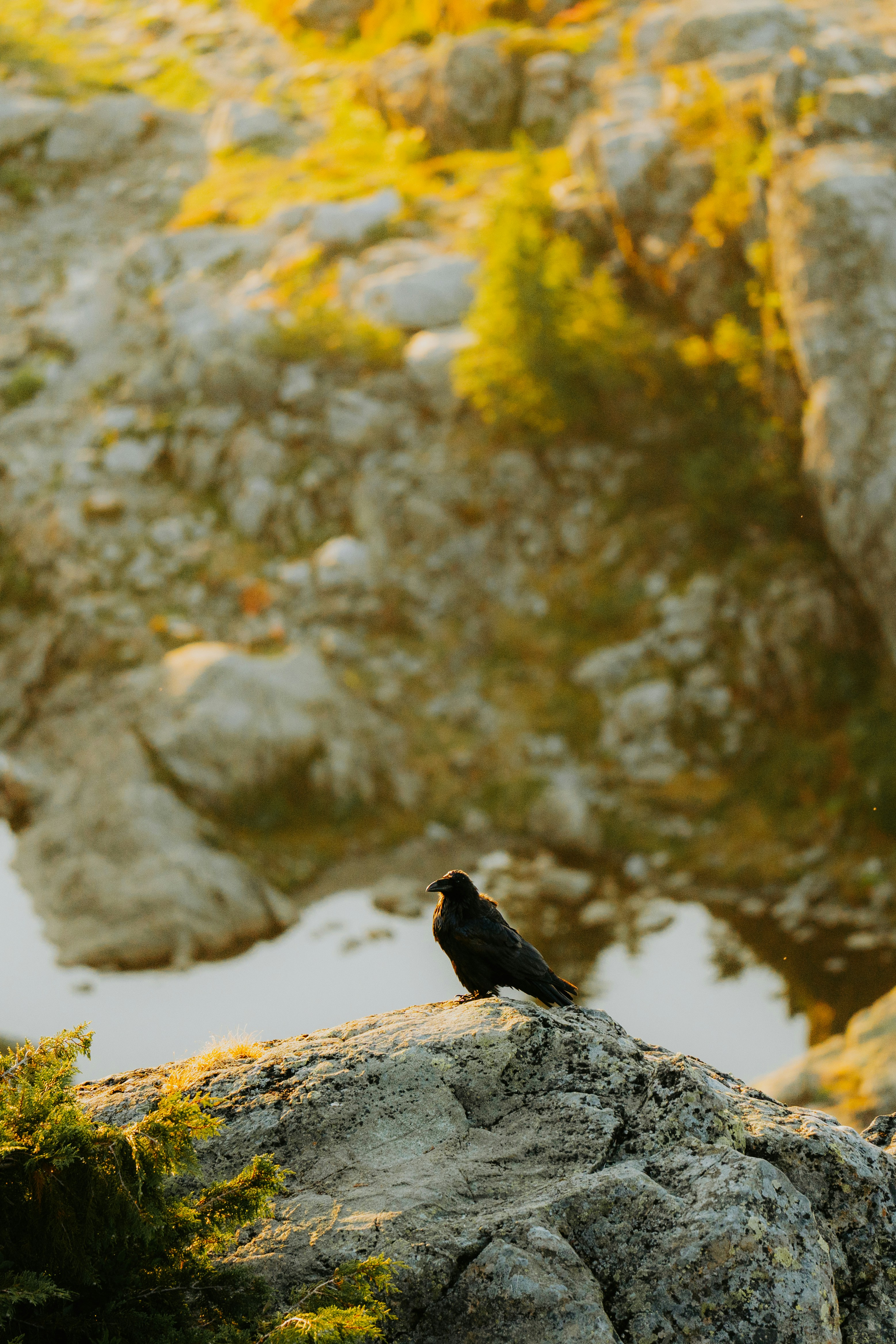 Photo by bylukemiller