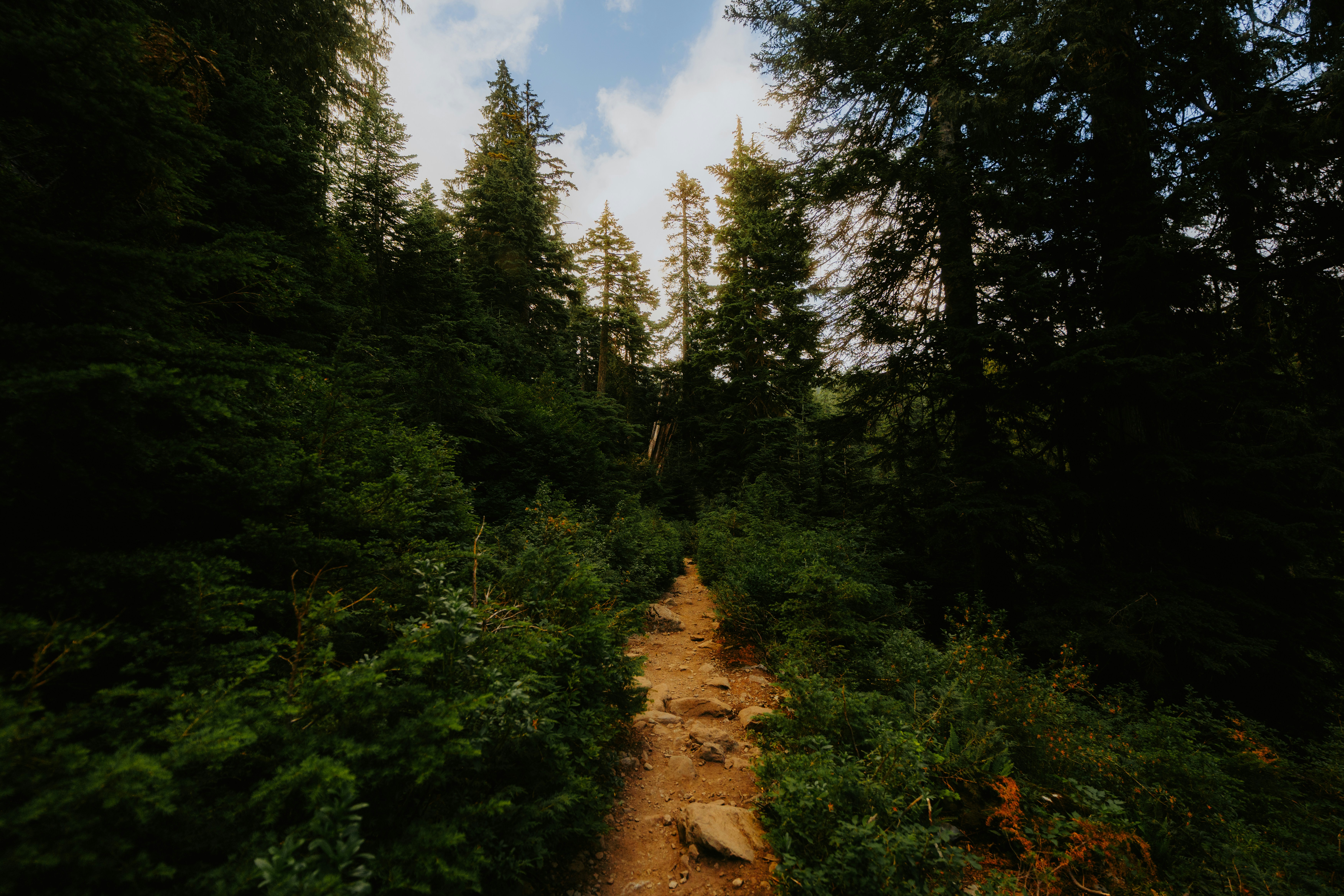 Photo by bylukemiller