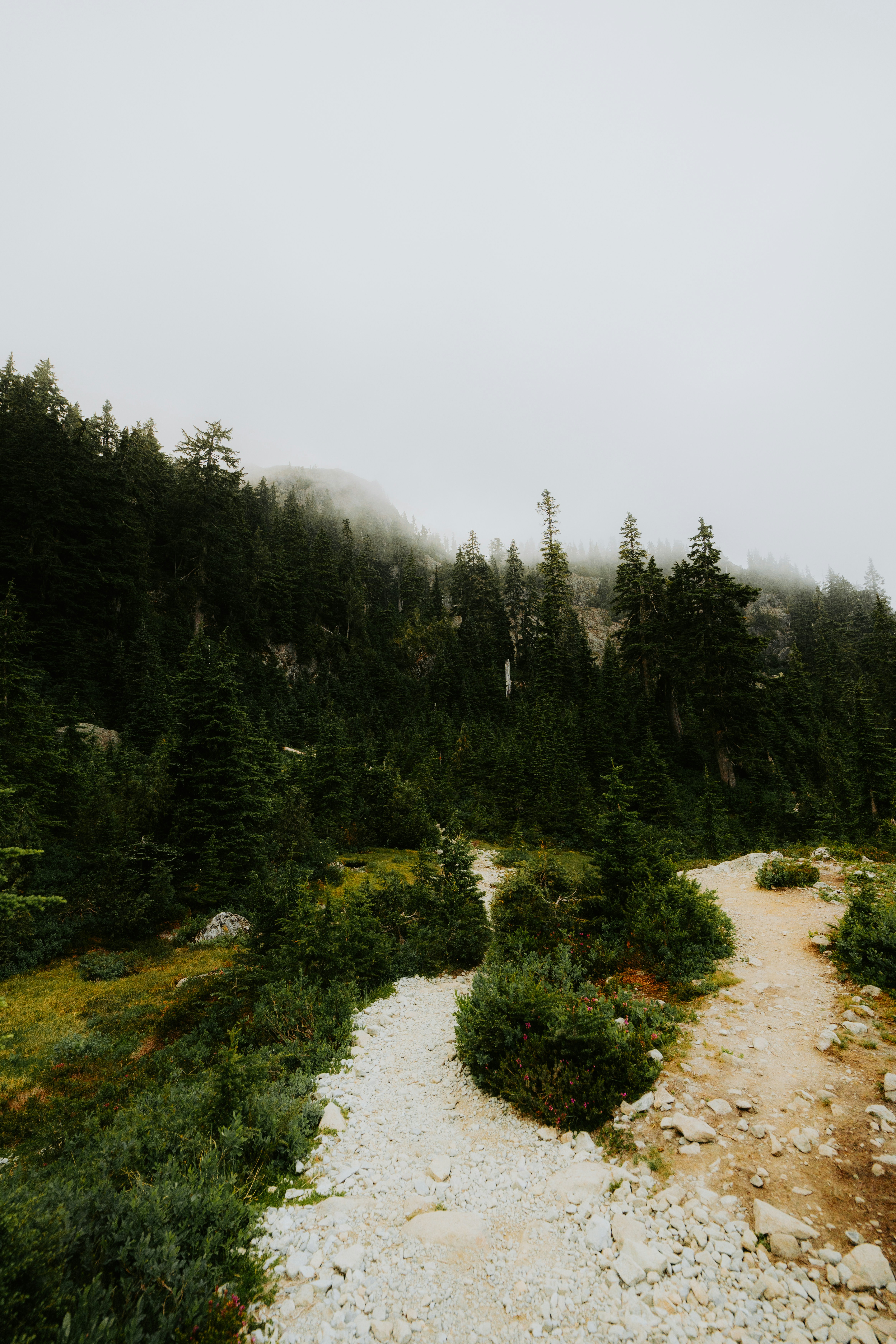 Photo by bylukemiller