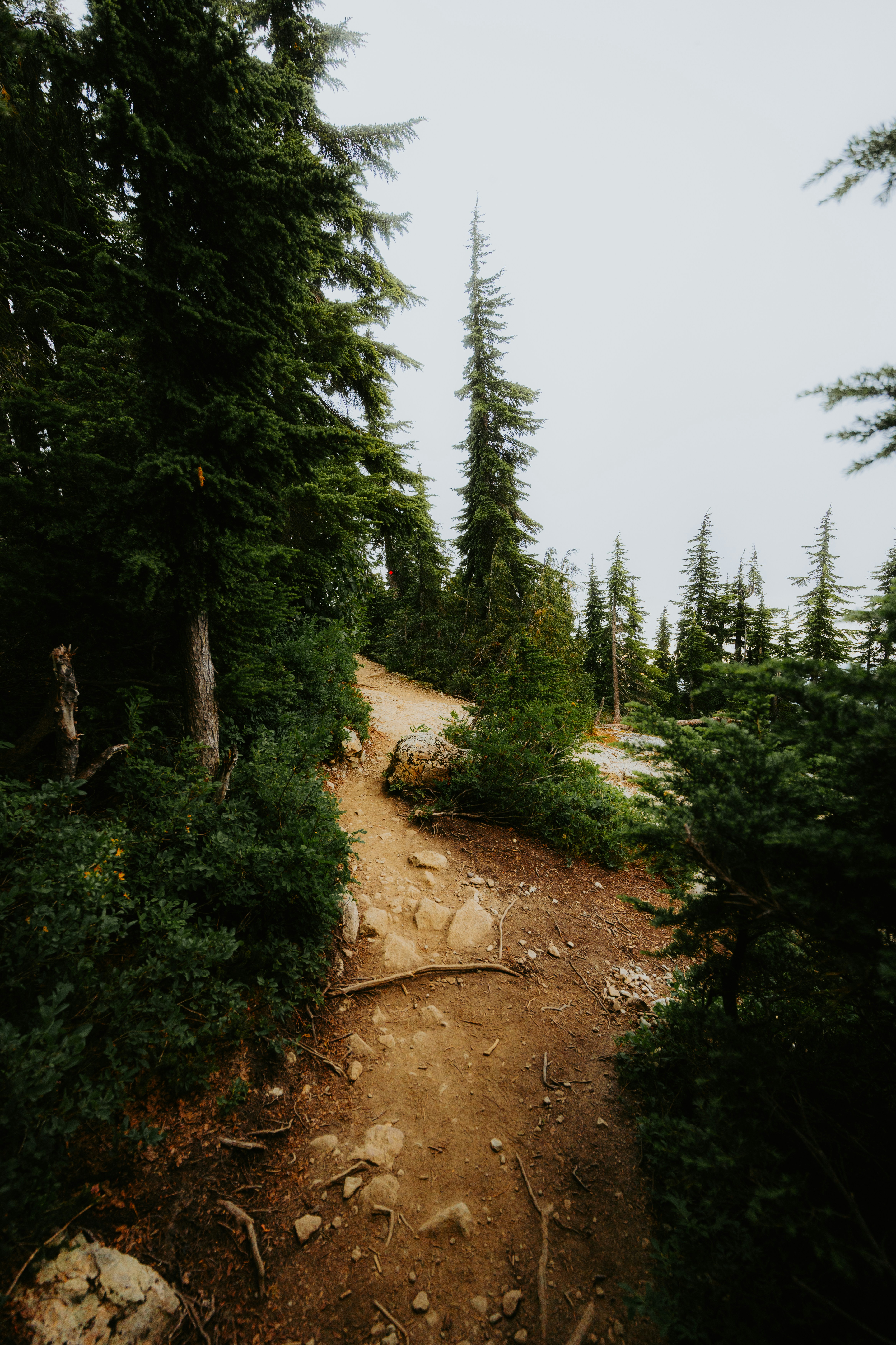 Photo by bylukemiller