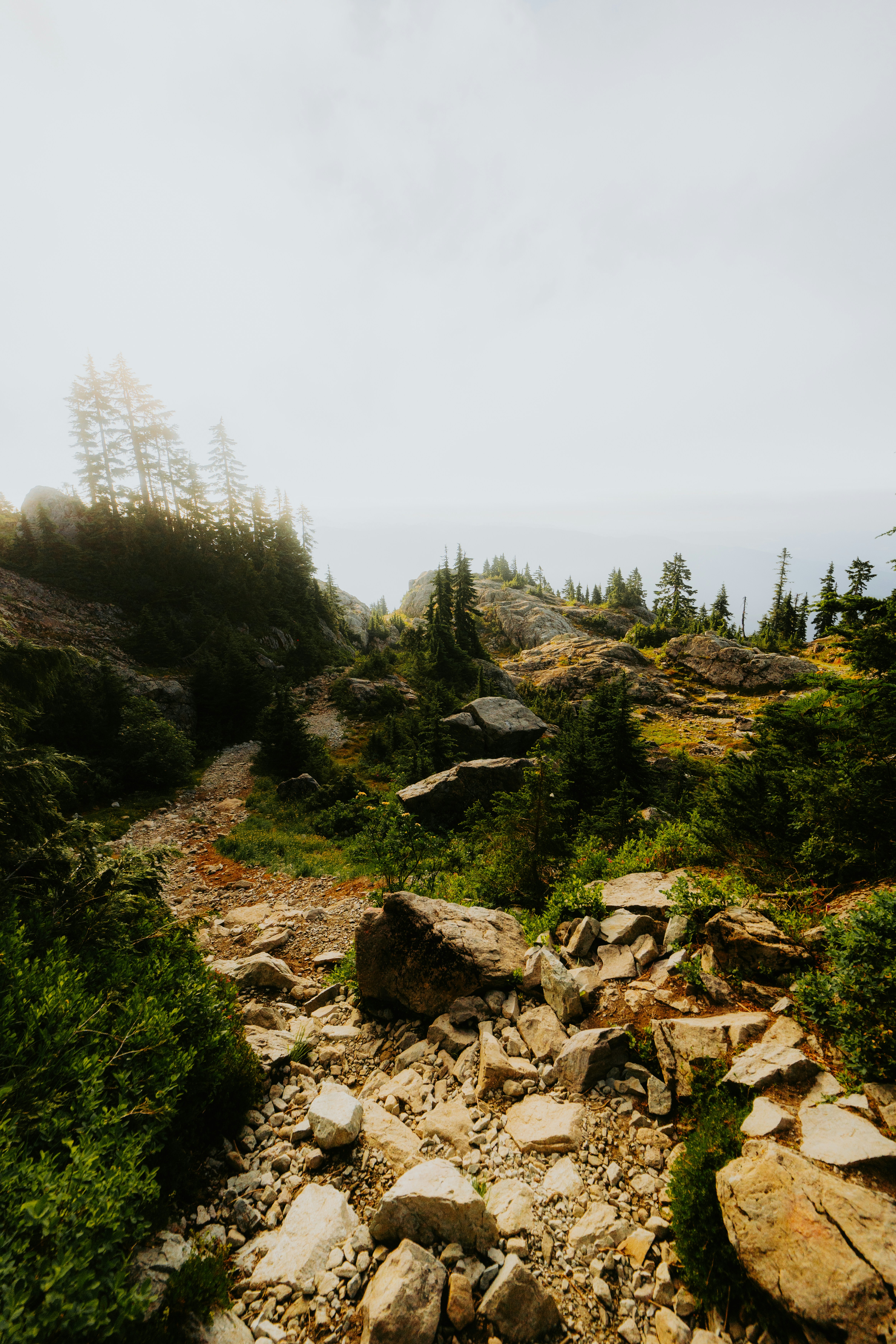 Photo by bylukemiller