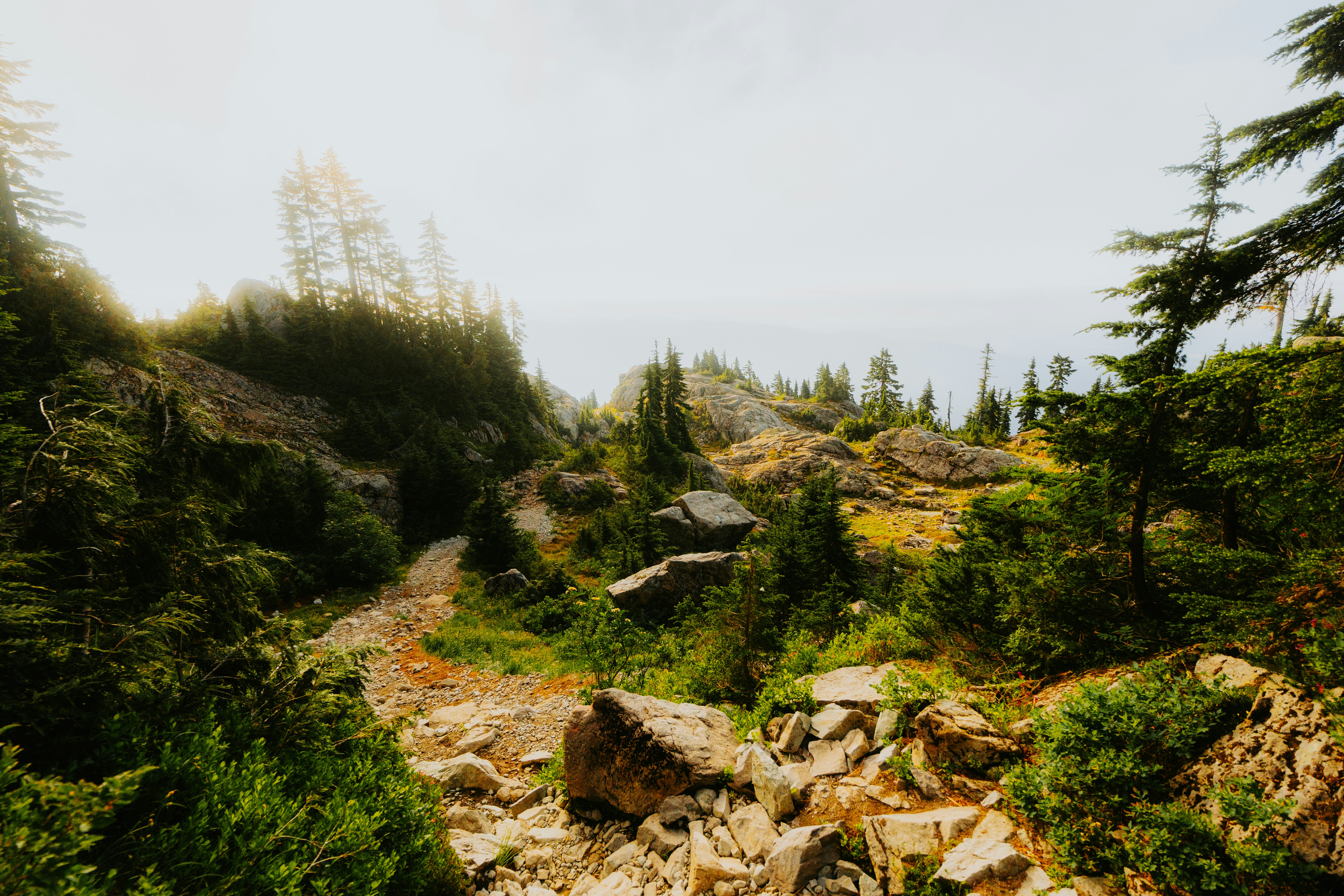 Bugün öğrendim ki: Prens'in Oregon Trail video...