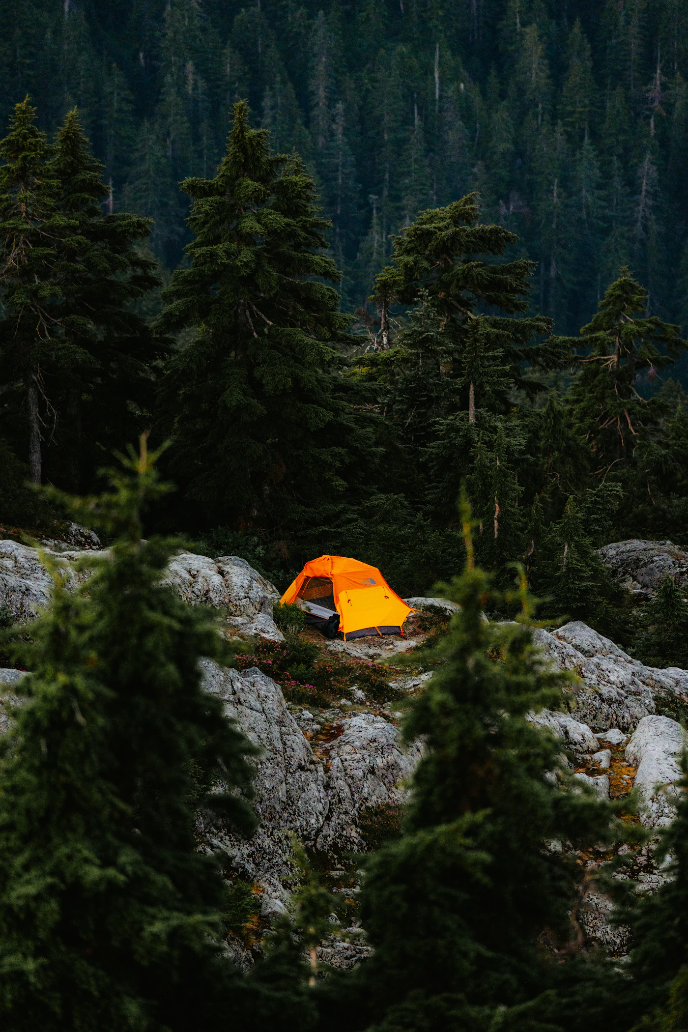 Bright orange camping tent positioned among evergreen trees and rocks