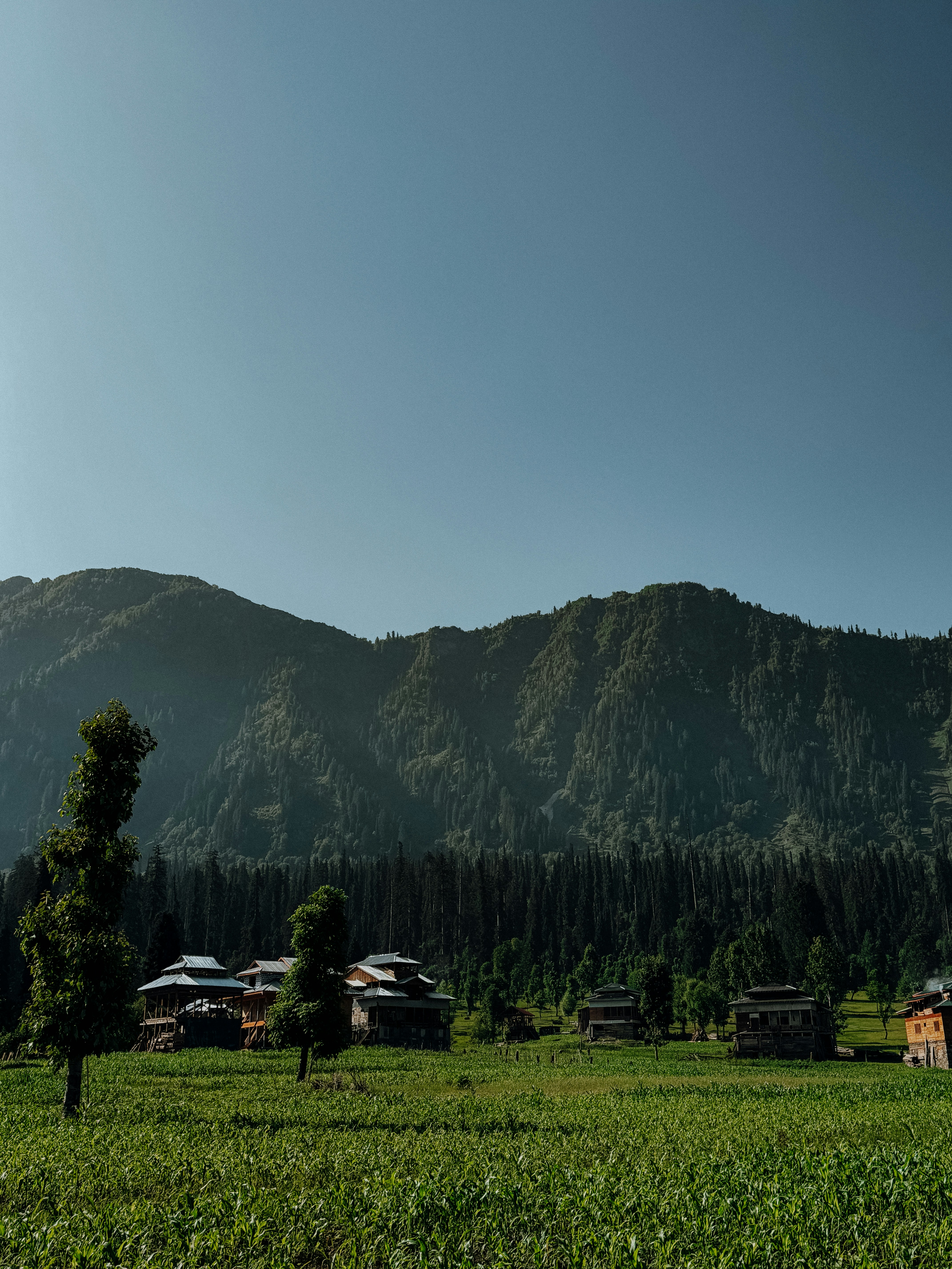 Photo by abdullah_photography