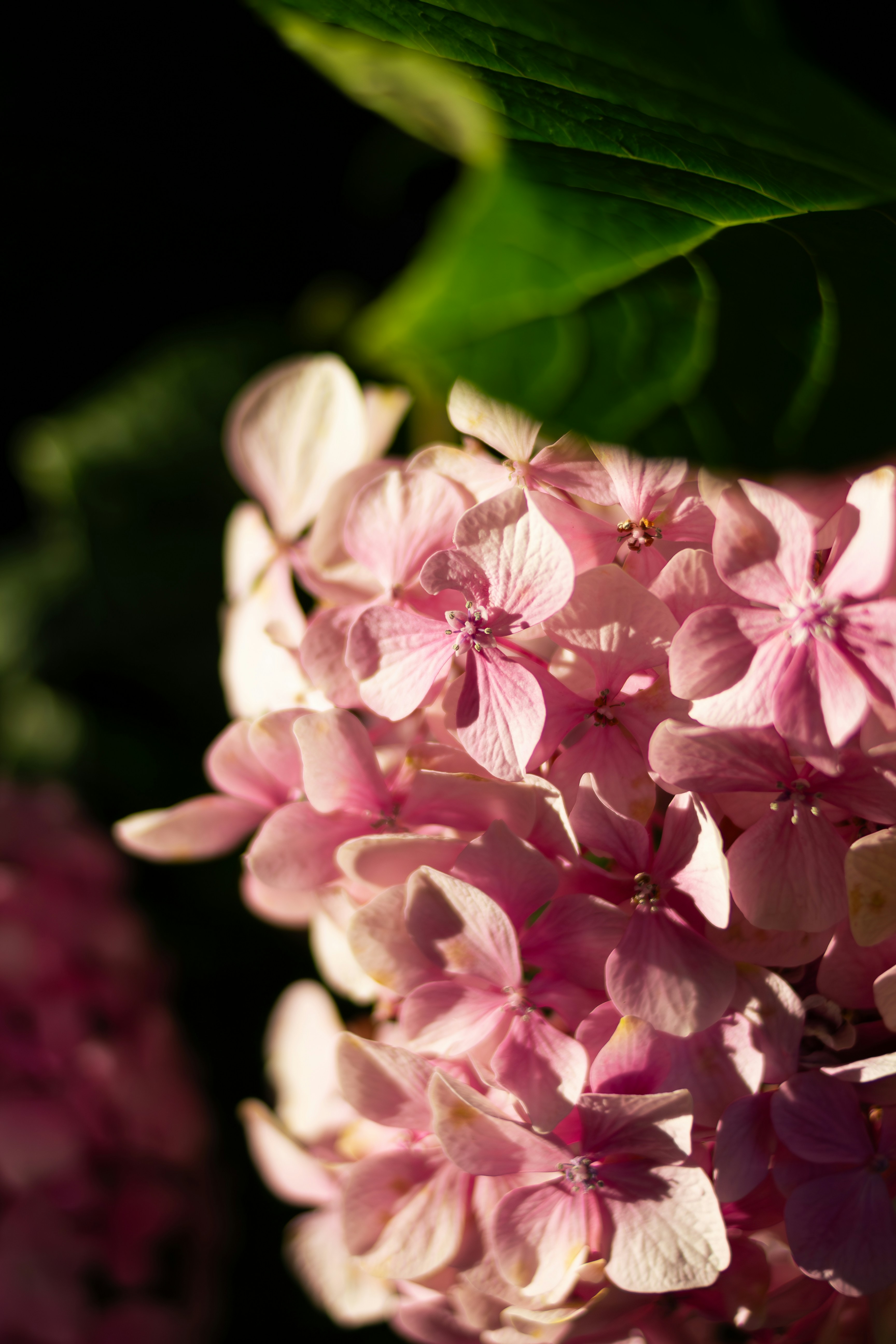 Photo by svitlana_rusak