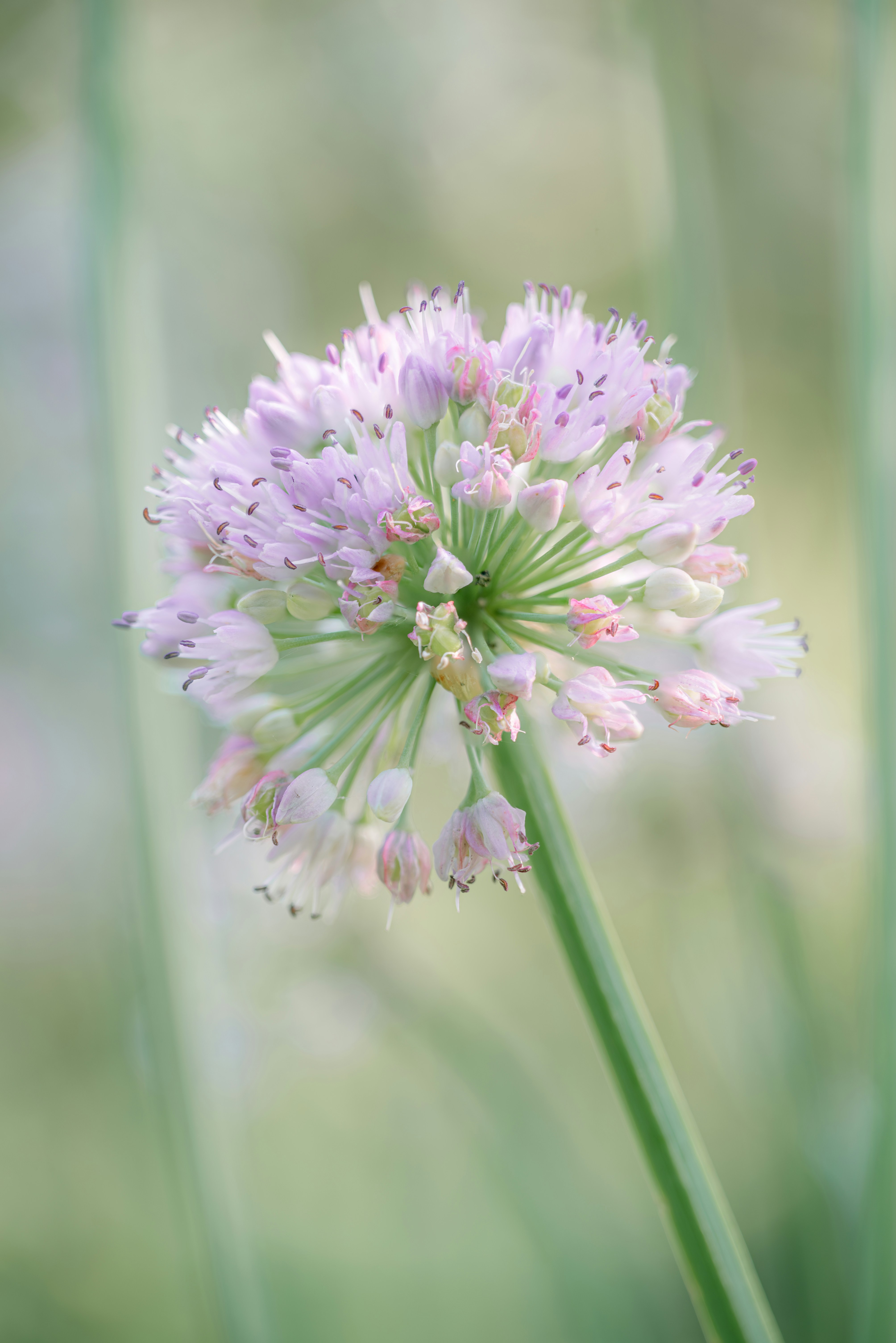 Photo by jetztabertempo