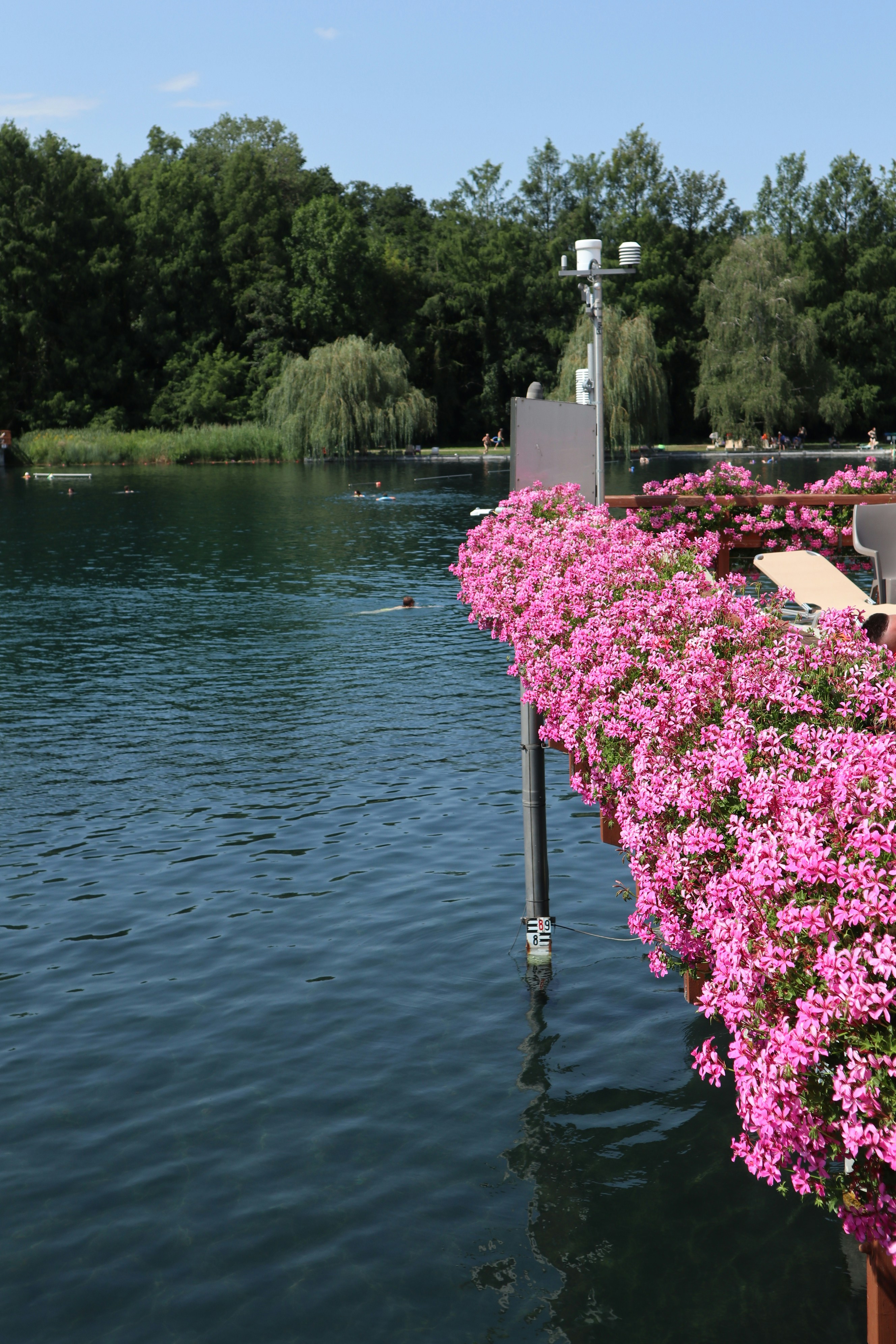 A row of benches next to a body of water