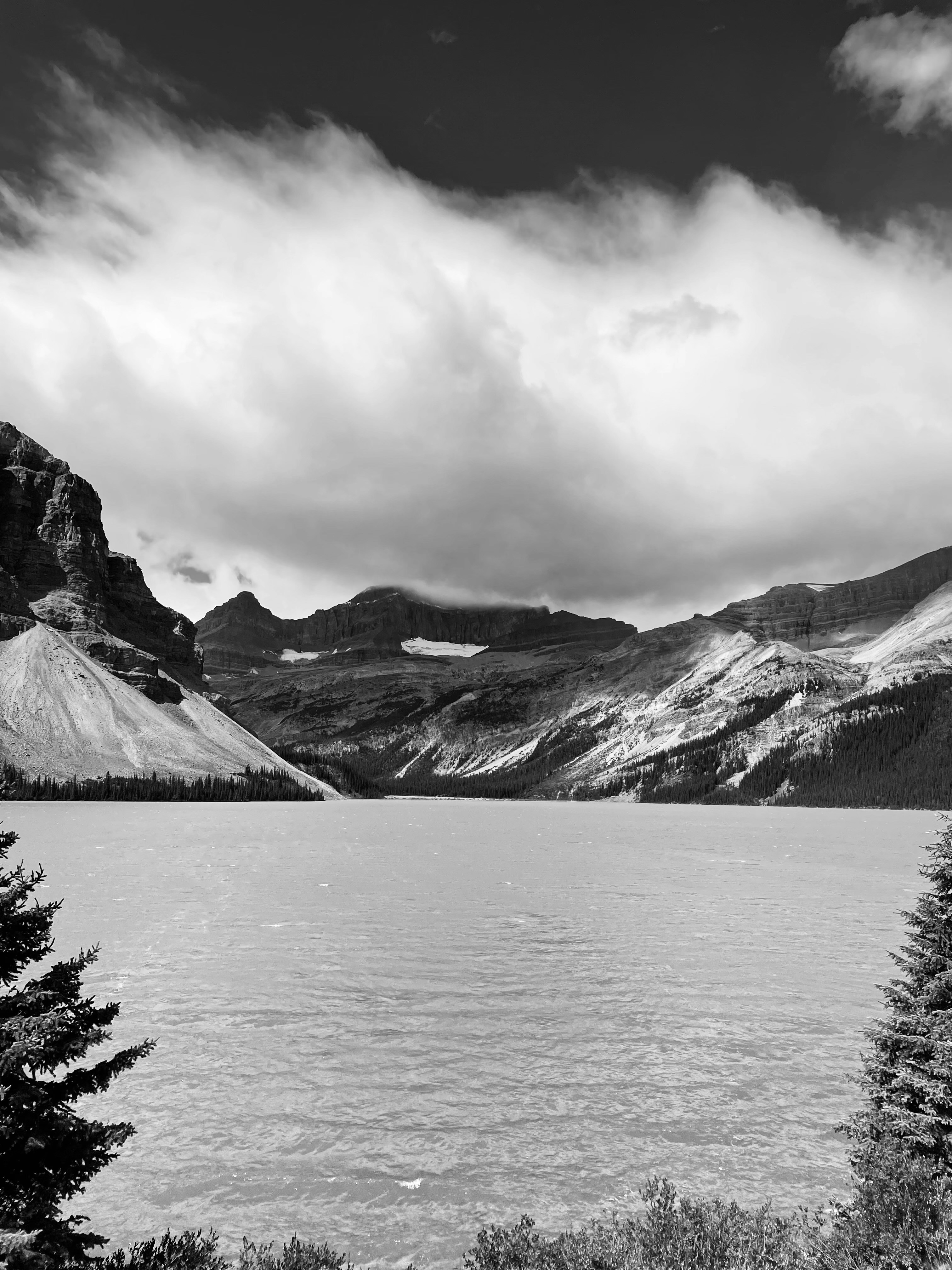 Photo by lisaboonaerts