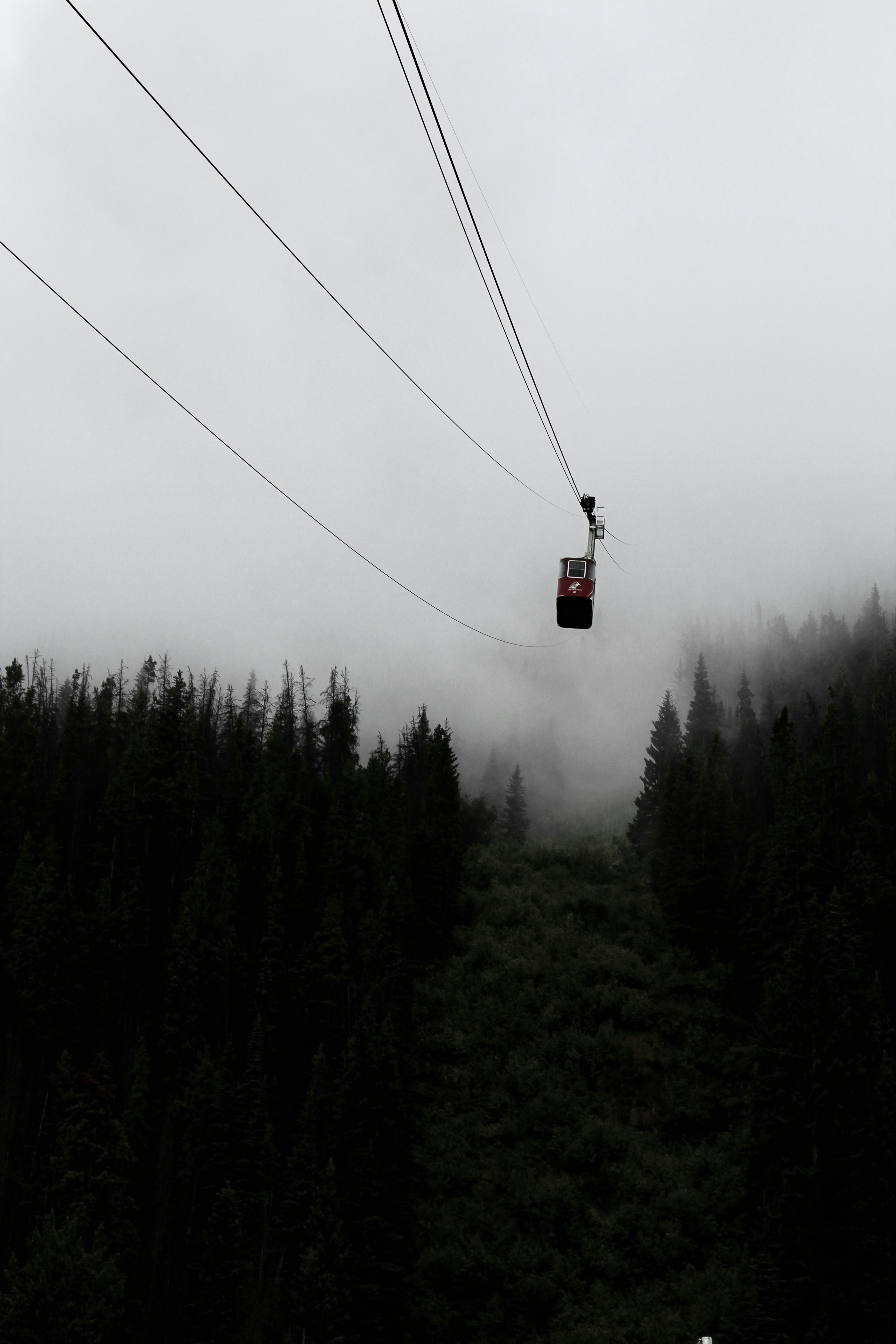 A ski lift going up a hill with trees in the background