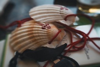 A couple of seashells sitting on top of a book