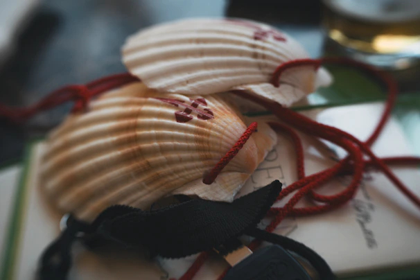 A couple of seashells sitting on top of a book