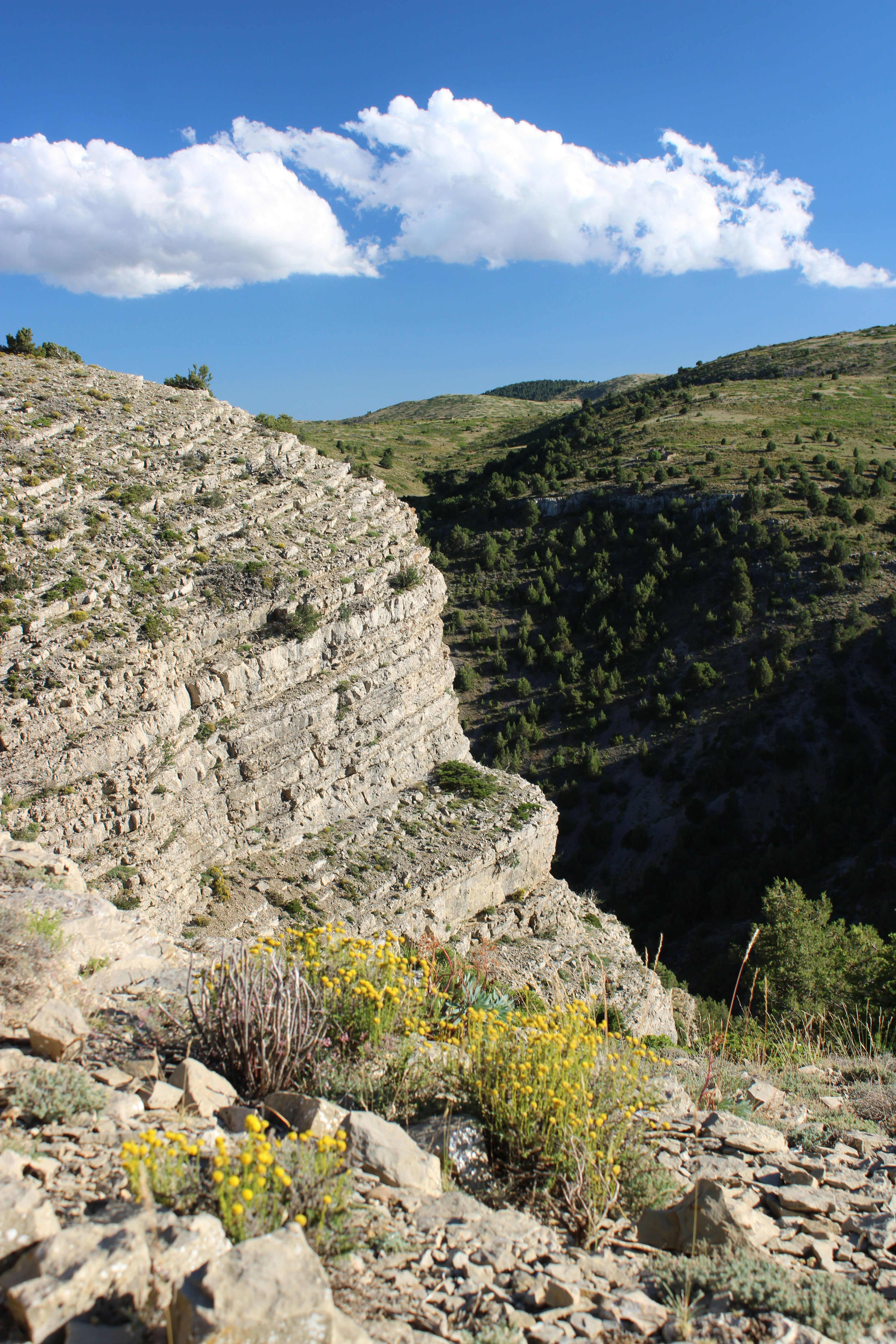 Photo by ludovico_06