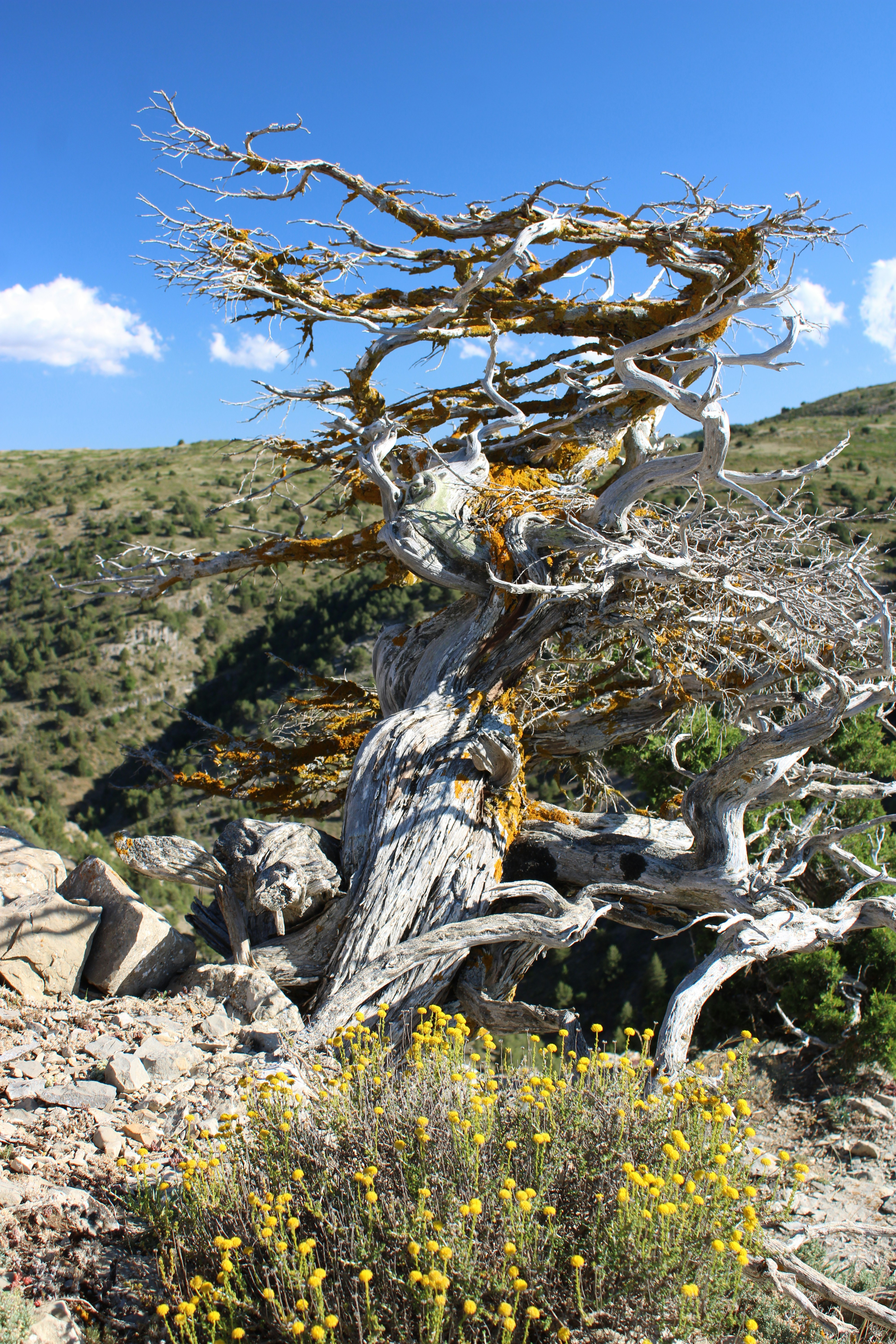 Photo by ludovico_06