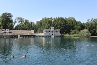 A large body of water with ducks swimming in it
