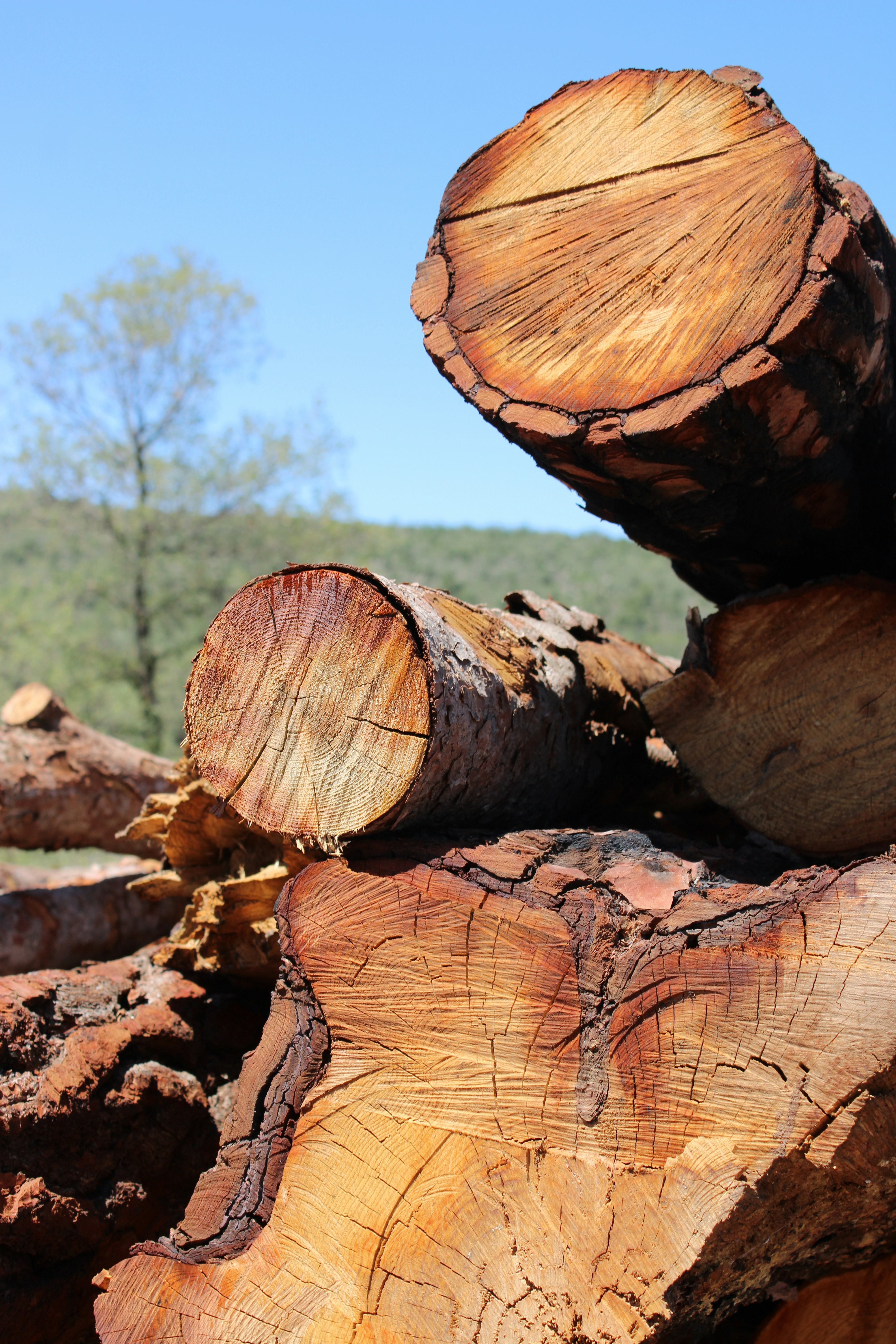 A pile of wood sitting on top of a field