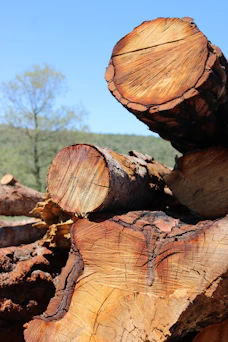 A pile of wood sitting on top of a field