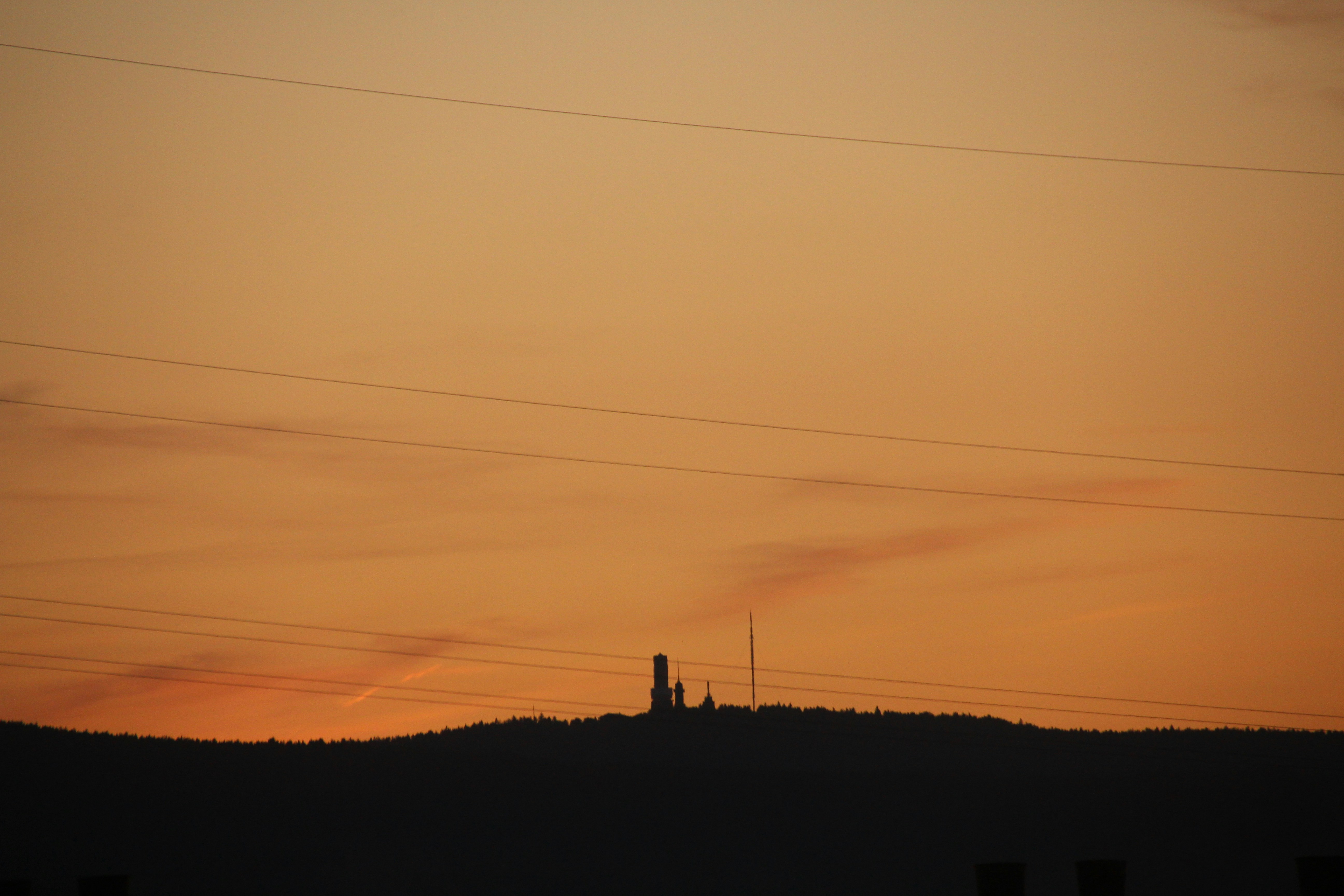 Photo by cbleek