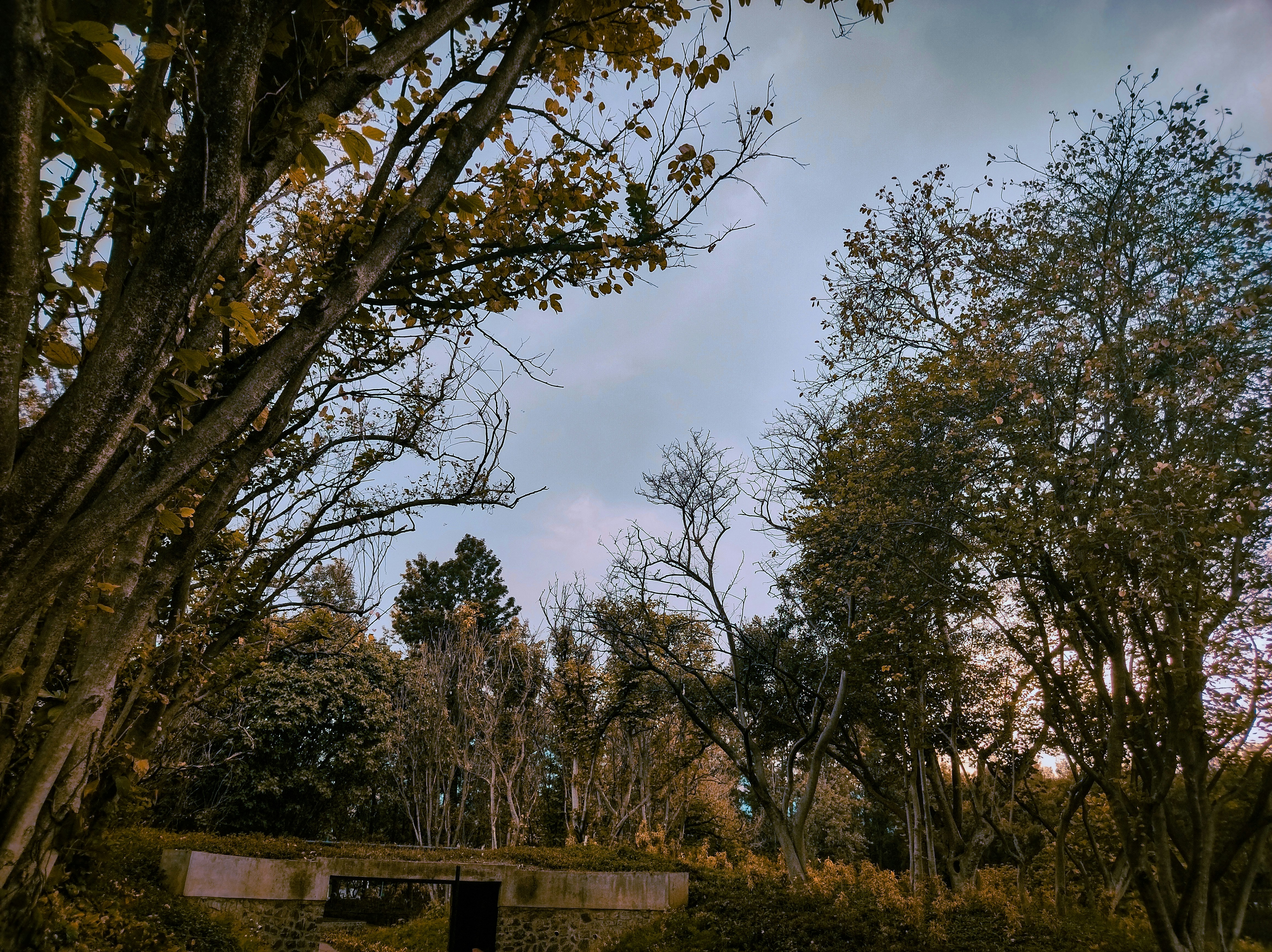 Photo by priyankagautam03