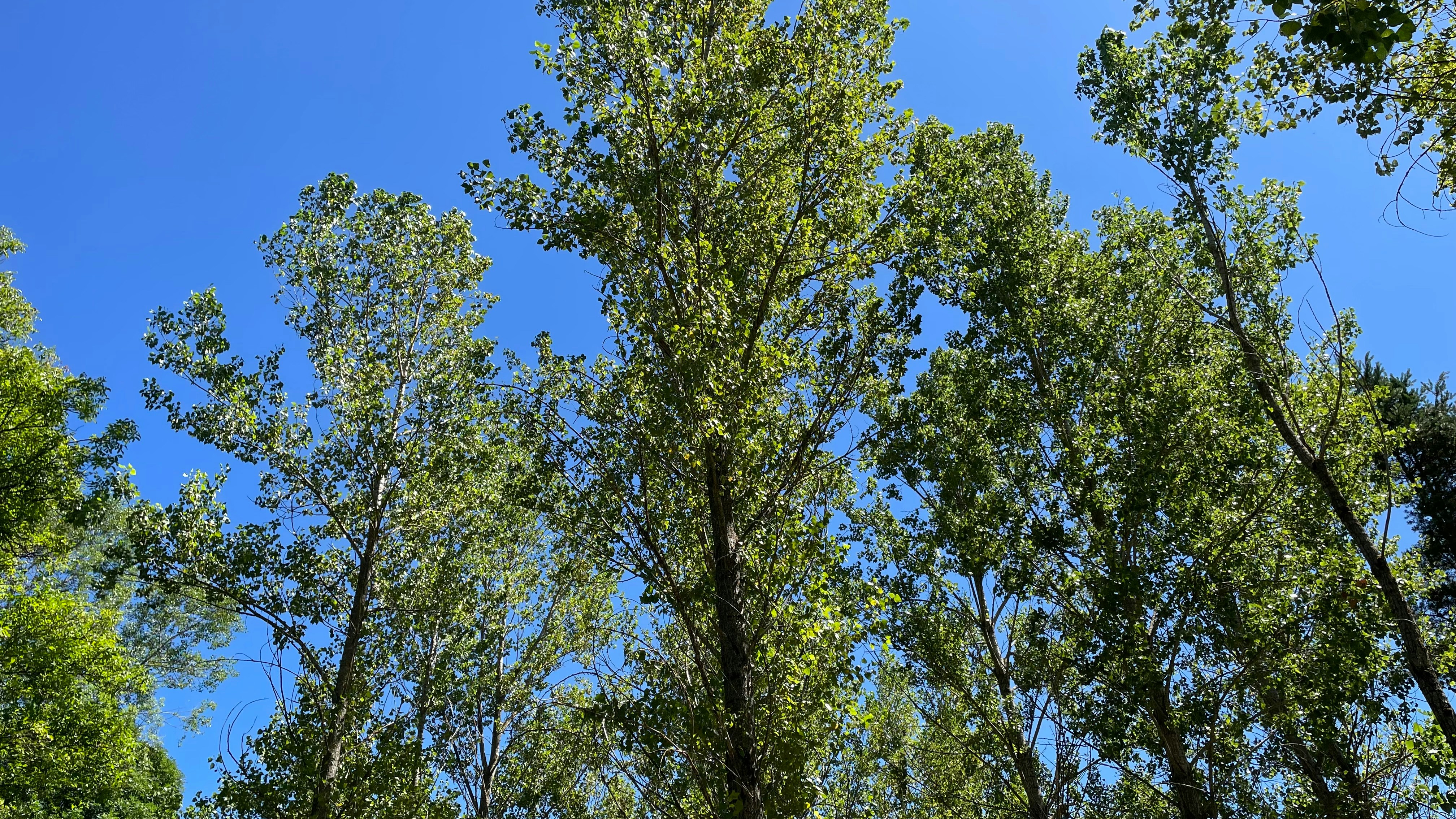 Photo by pacojarauta