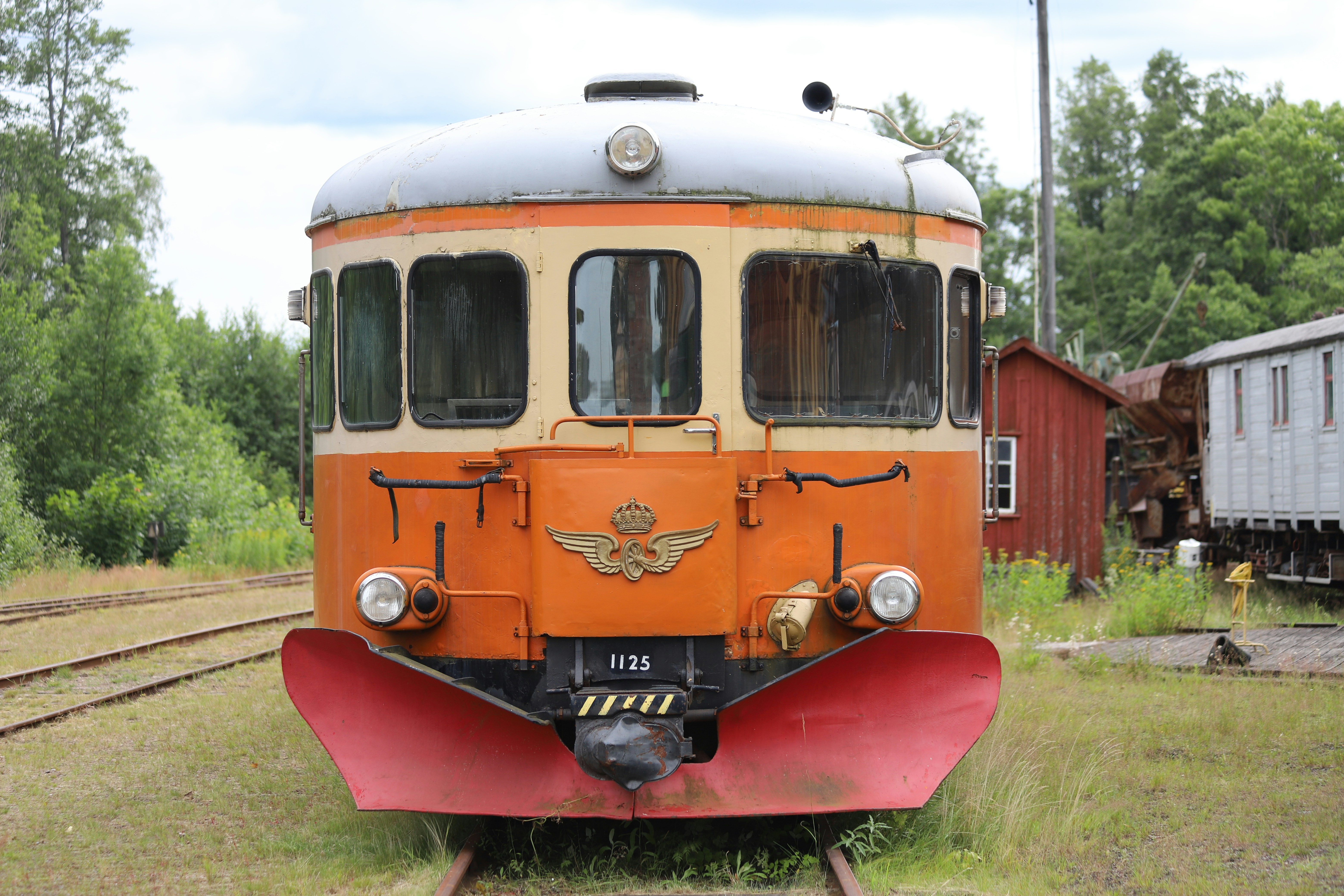 Norrsken över vinterskog