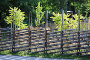A wooden fence next to a road with trees in the background